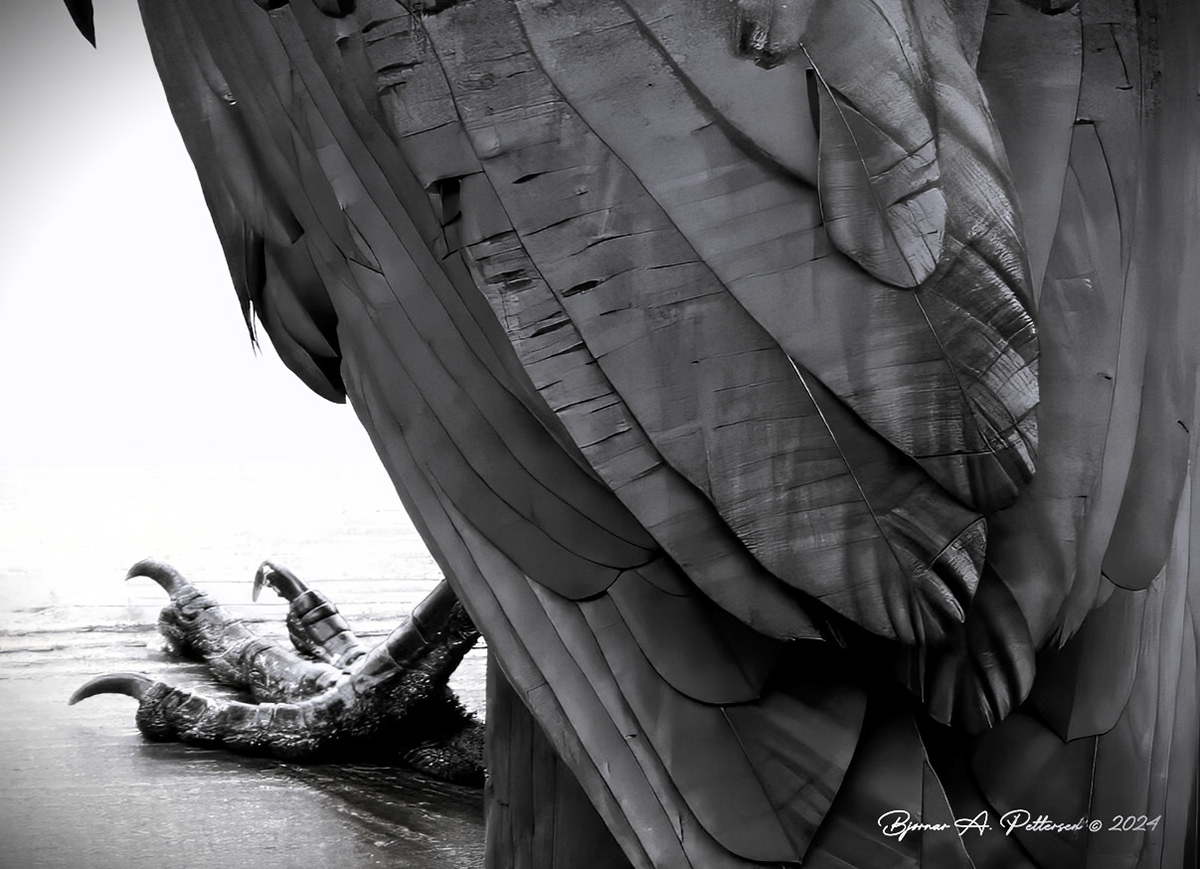 Lord Raven - en ravn som holdt til mye ved hytta sommeren 2023. Her sitter den på rekkverket på terrassen.