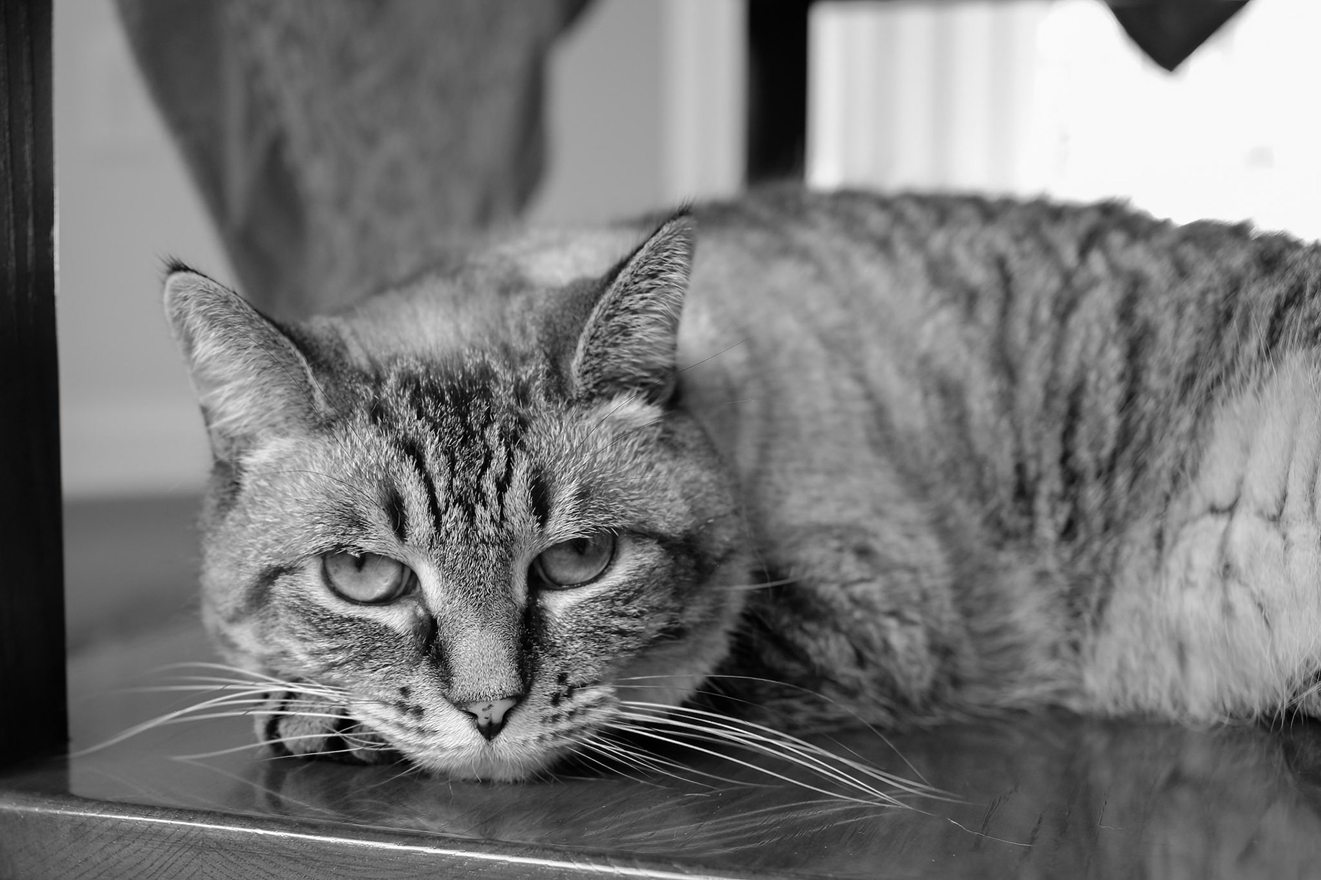 I'm the Princees and who are you again ?