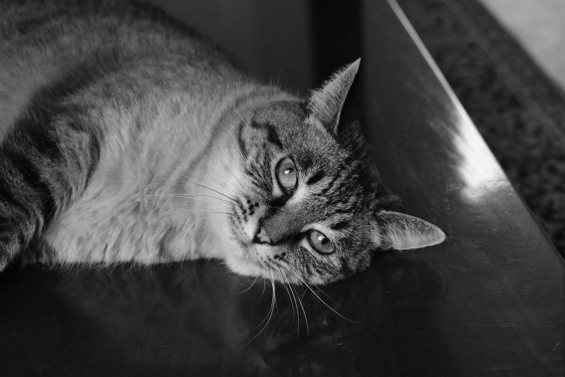 Yes, I know I'm the prettiest