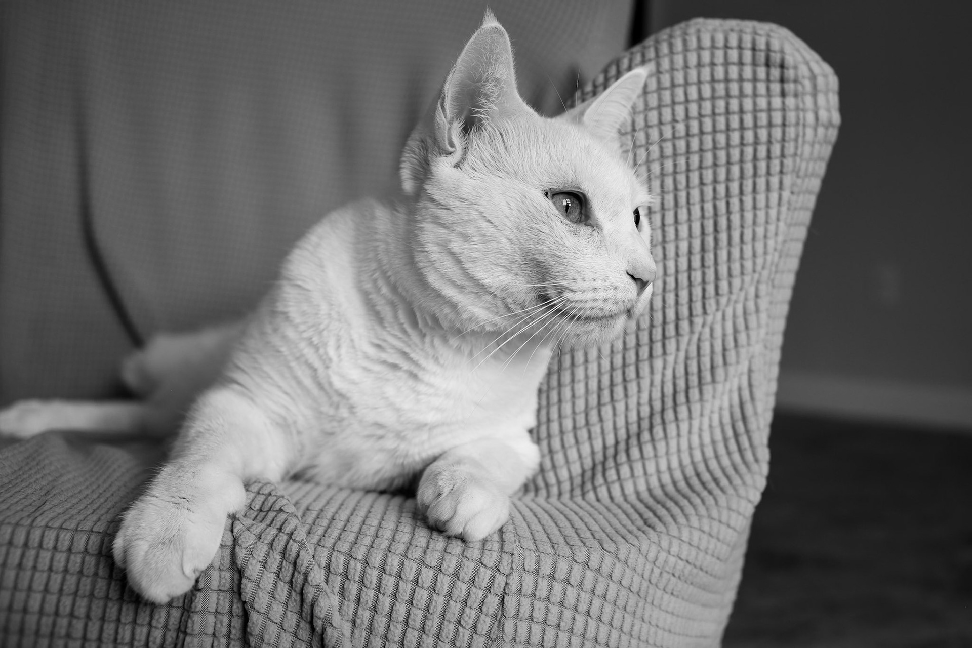 Filippo miles away ...