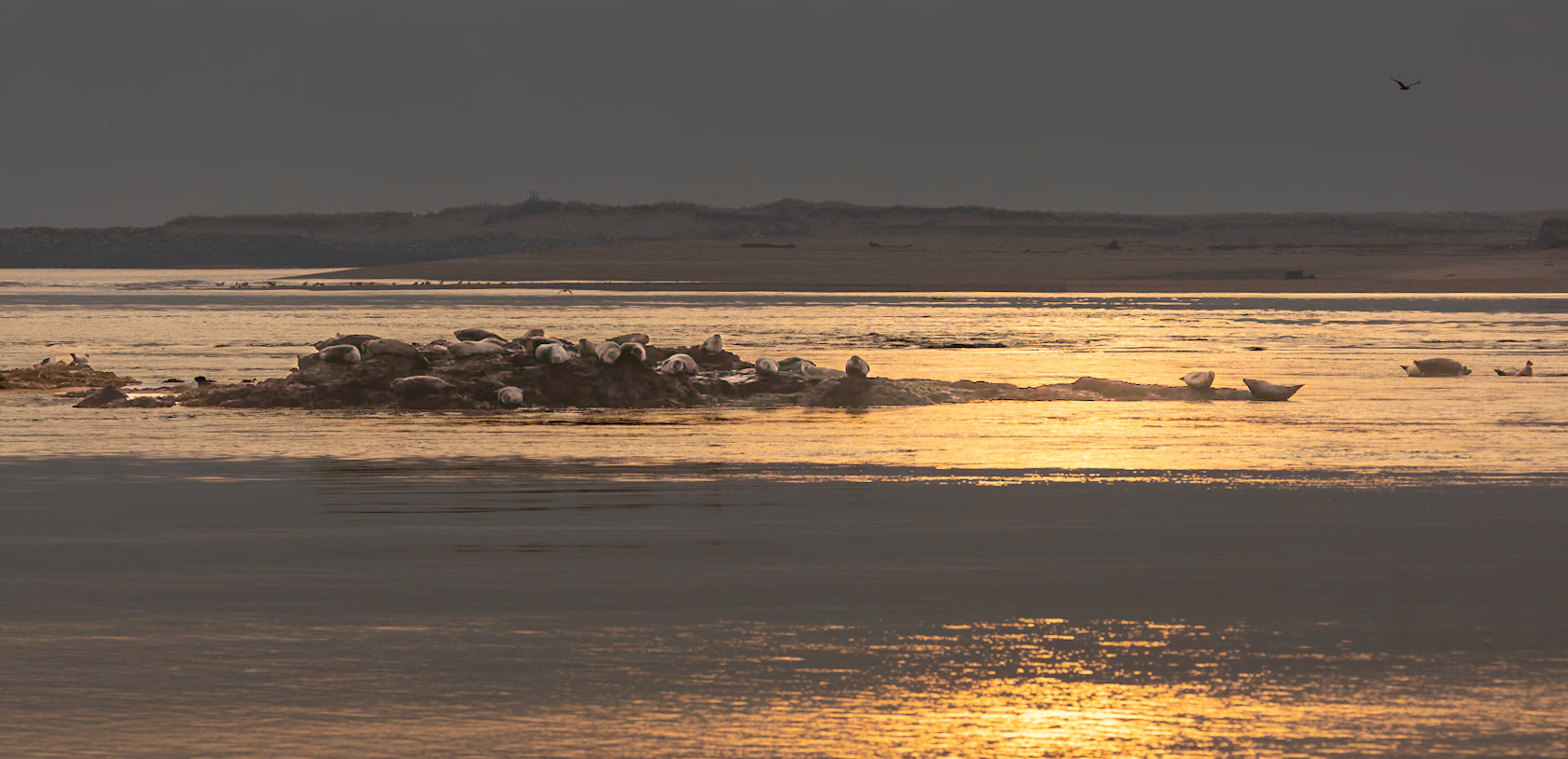 Salisbury Beach Sunrise