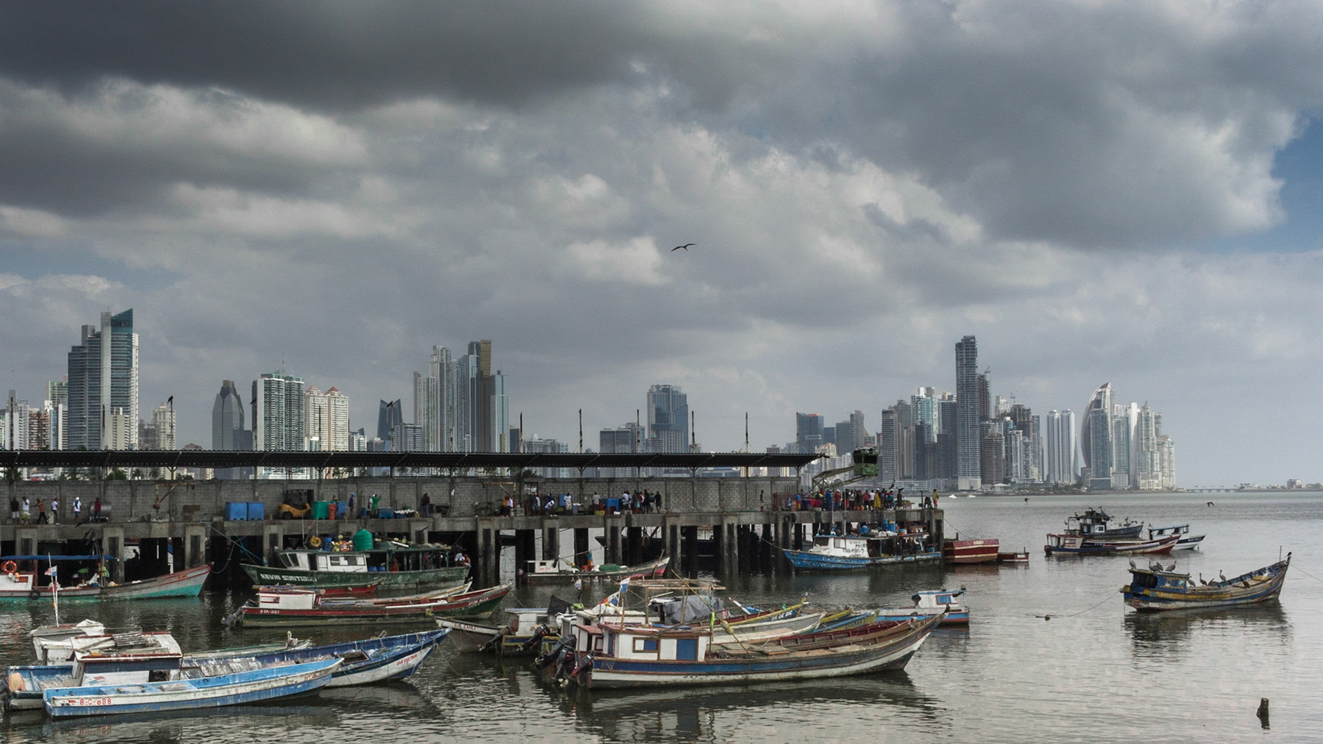 "Cinta Costera" Panamà City, Panama