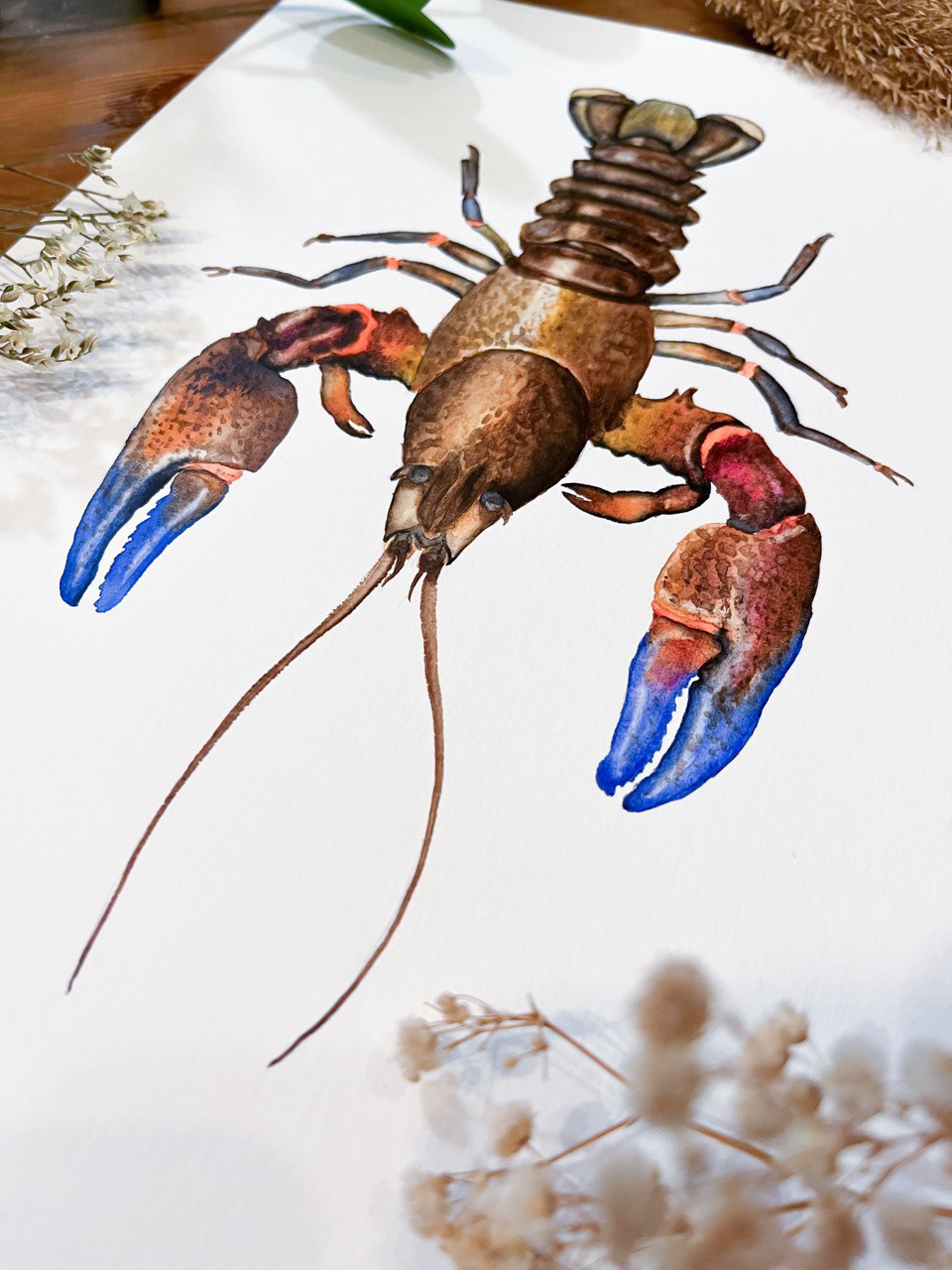 Original-Illustration