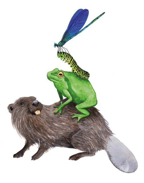 Fertige Illustration