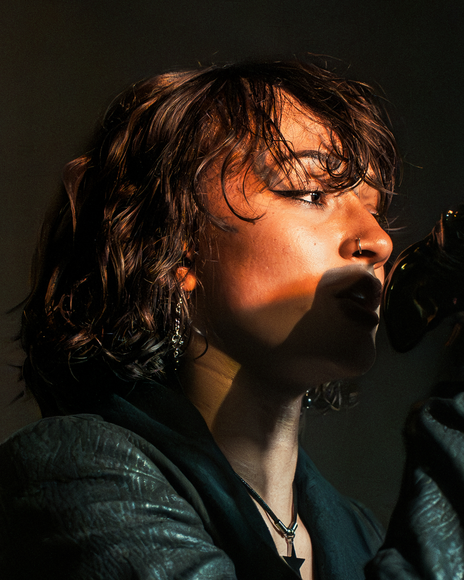 Ledbyher - The elephant tour - Manchester
