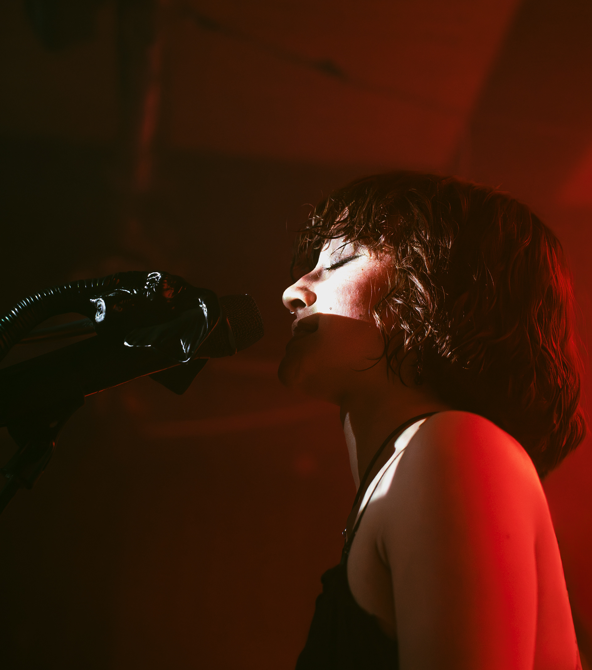 Ledbyher - The elephant tour - Manchester