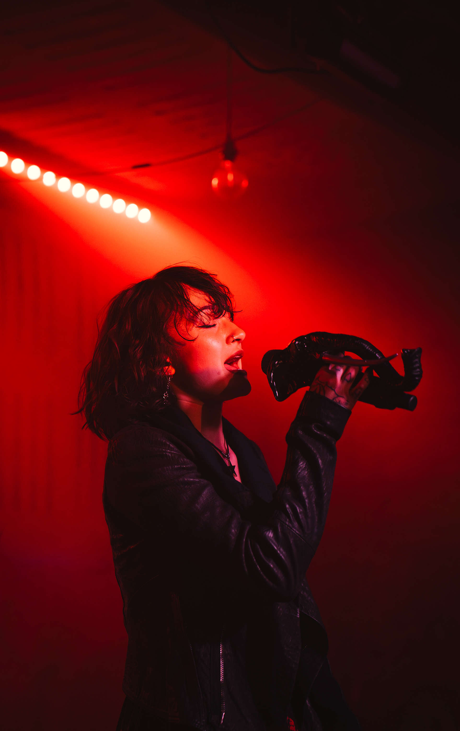 Ledbyher - The elephant tour - Manchester