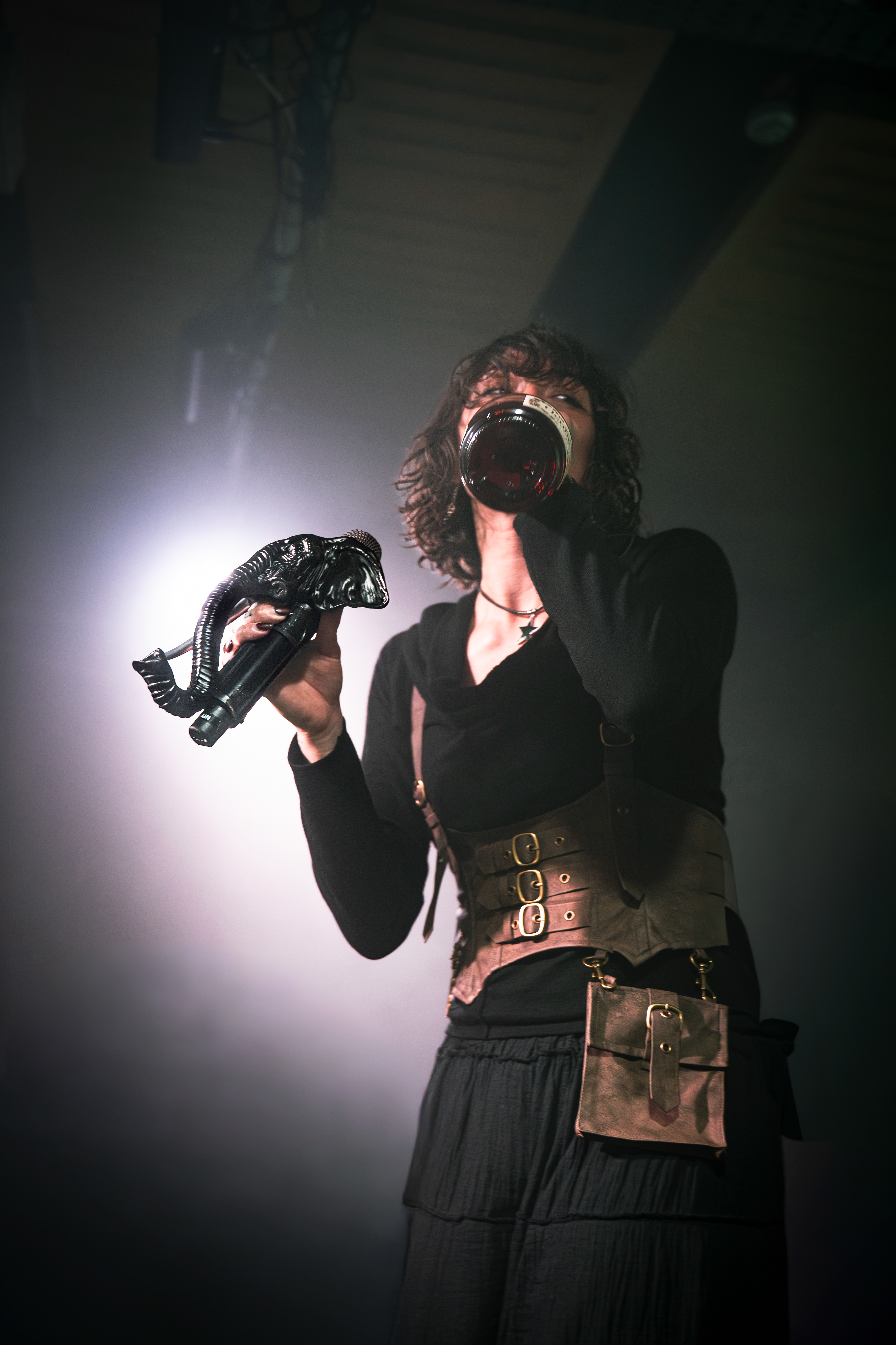 Ledbyher - The elephant tour - Manchester