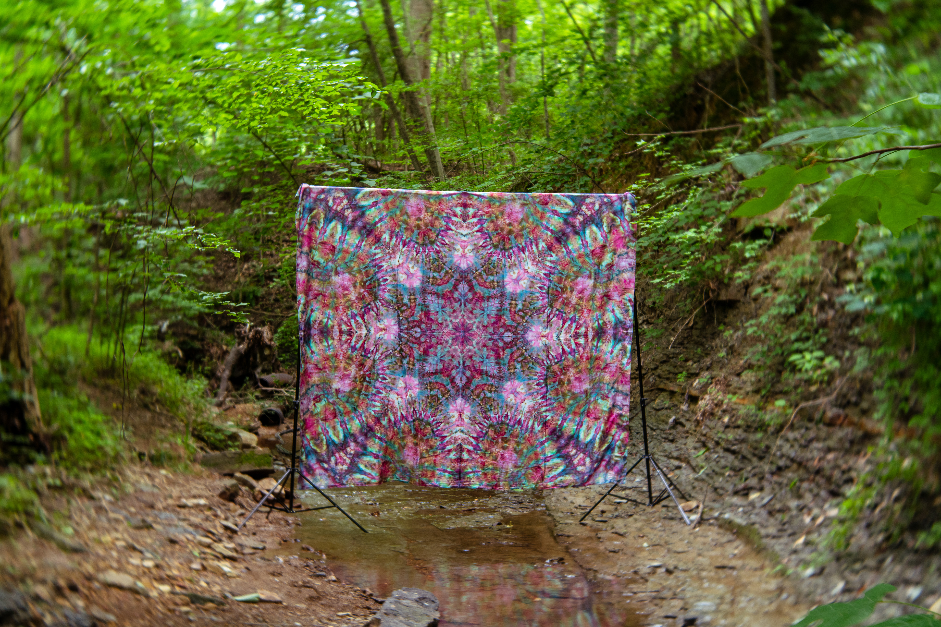 Ensō / Photo: Zach Jett Bohannon