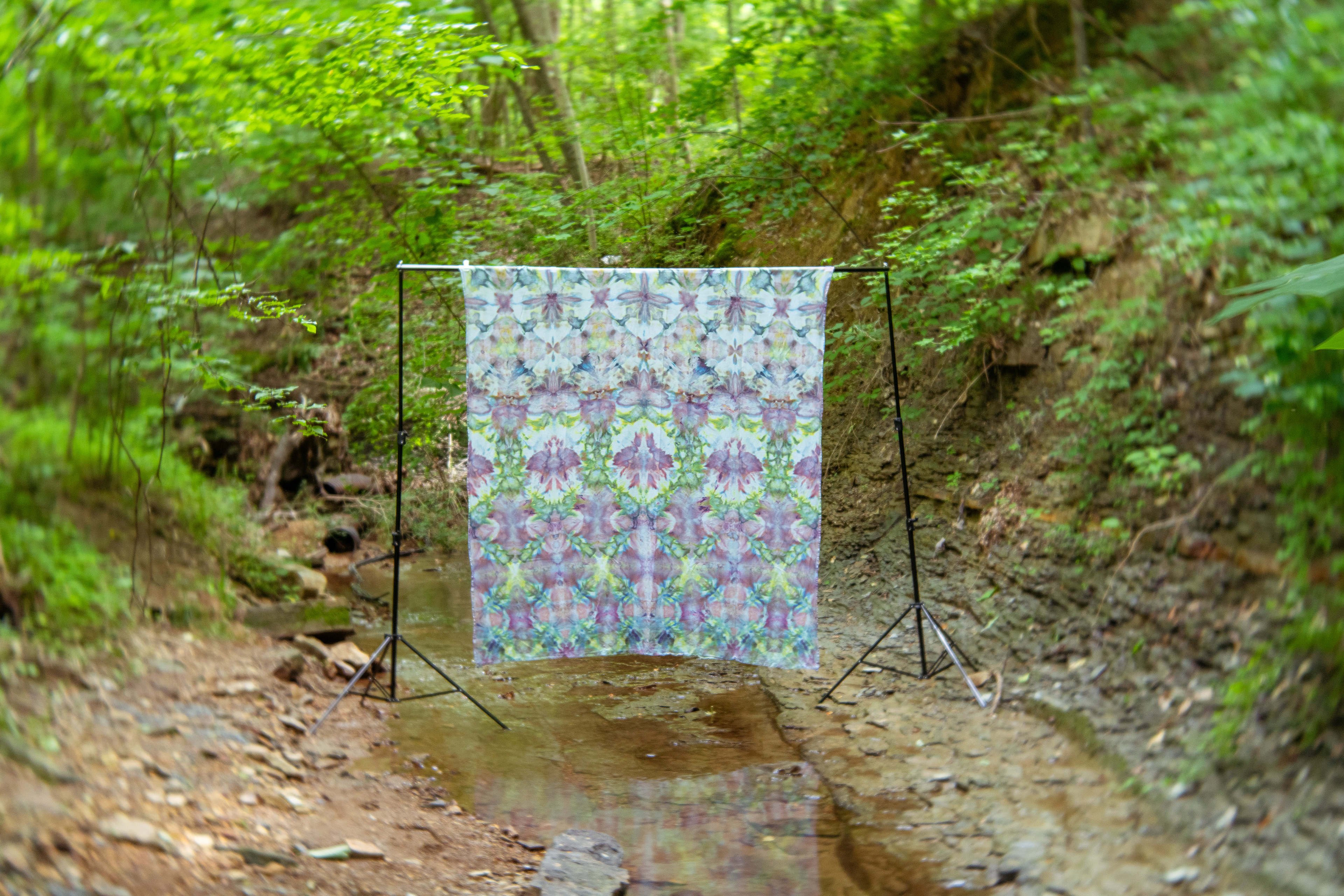 No Mud, No Lotus / Photo: Zach Jett Bohannon