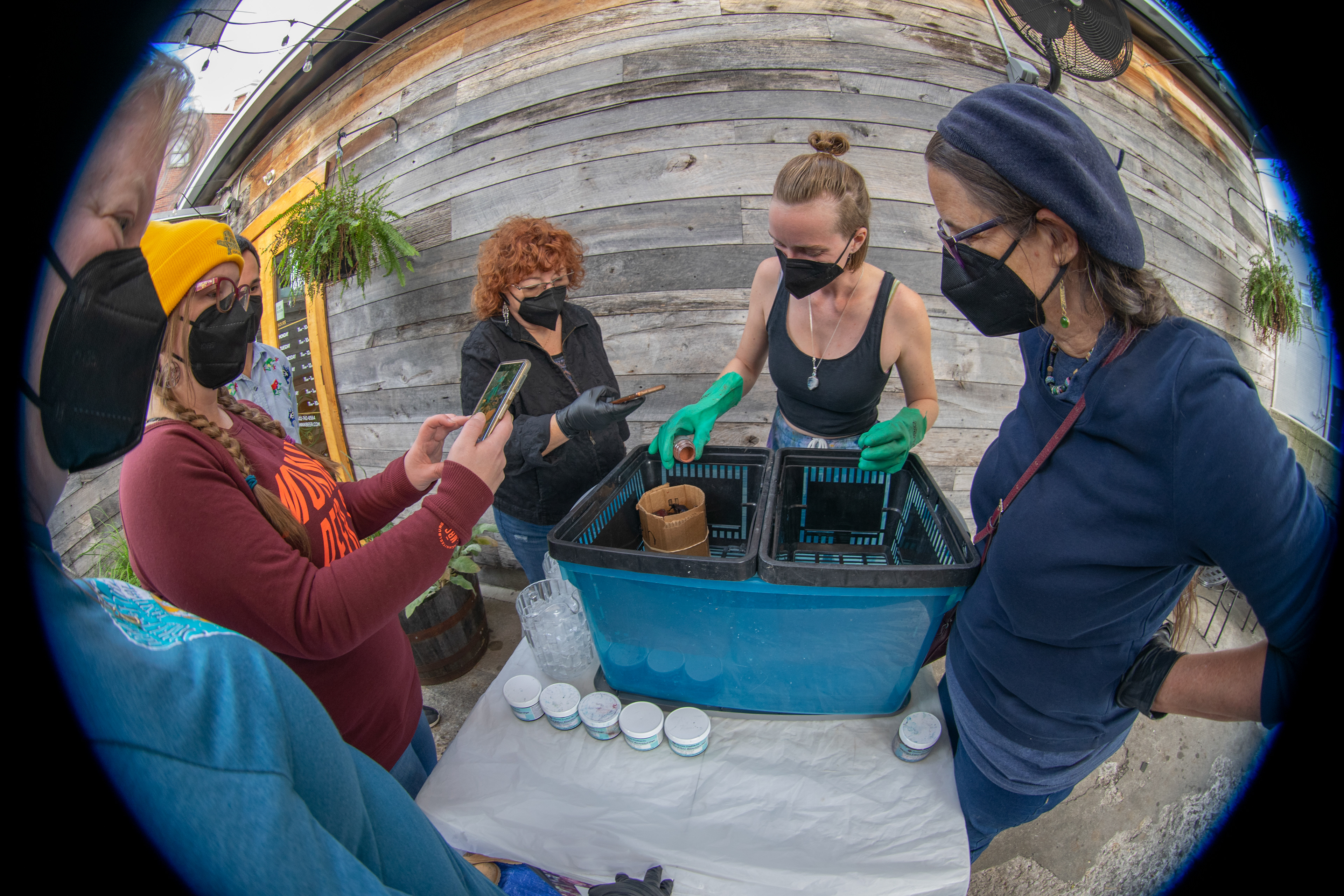 Photo: Danny T Bryan