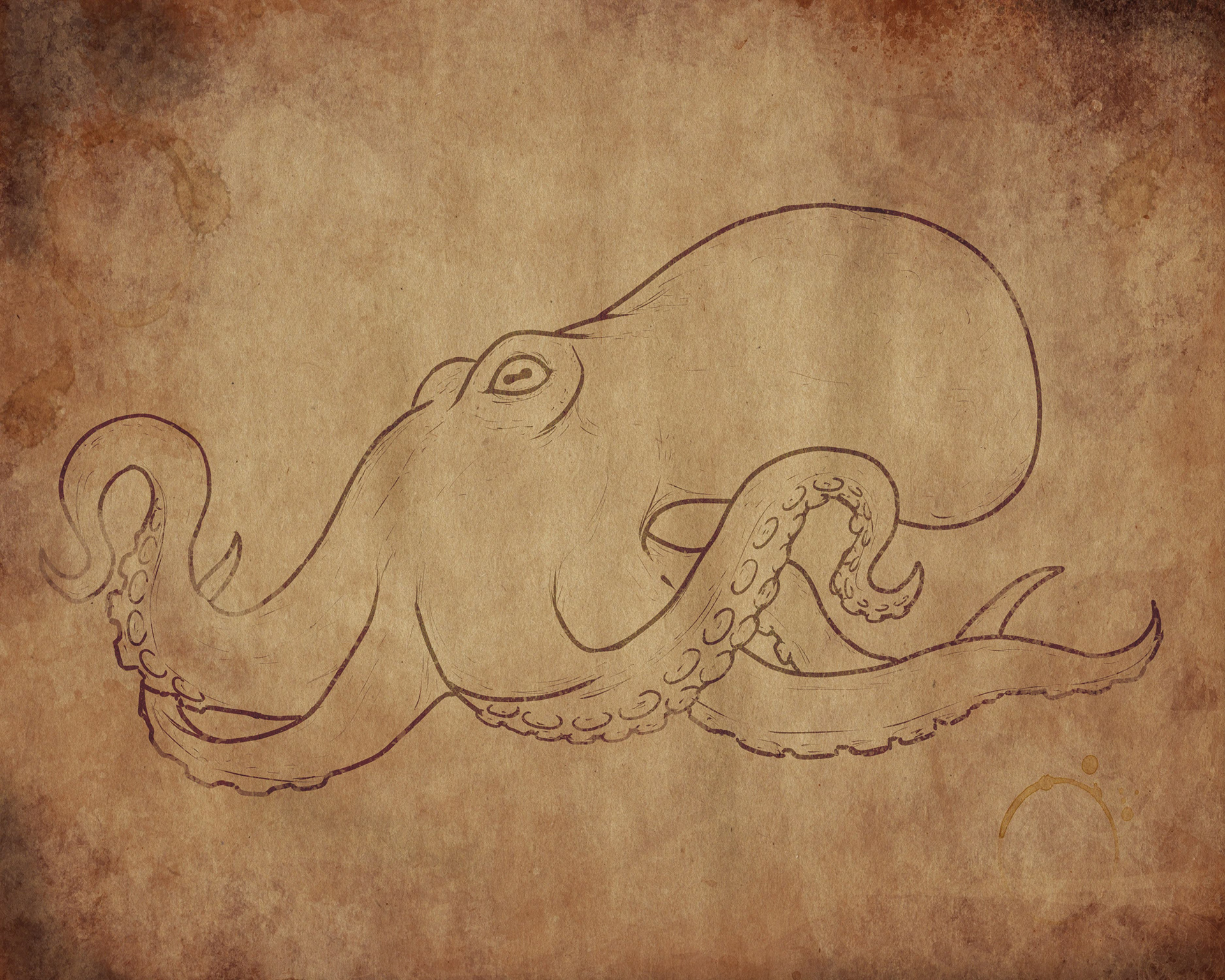 Octopus Line Art