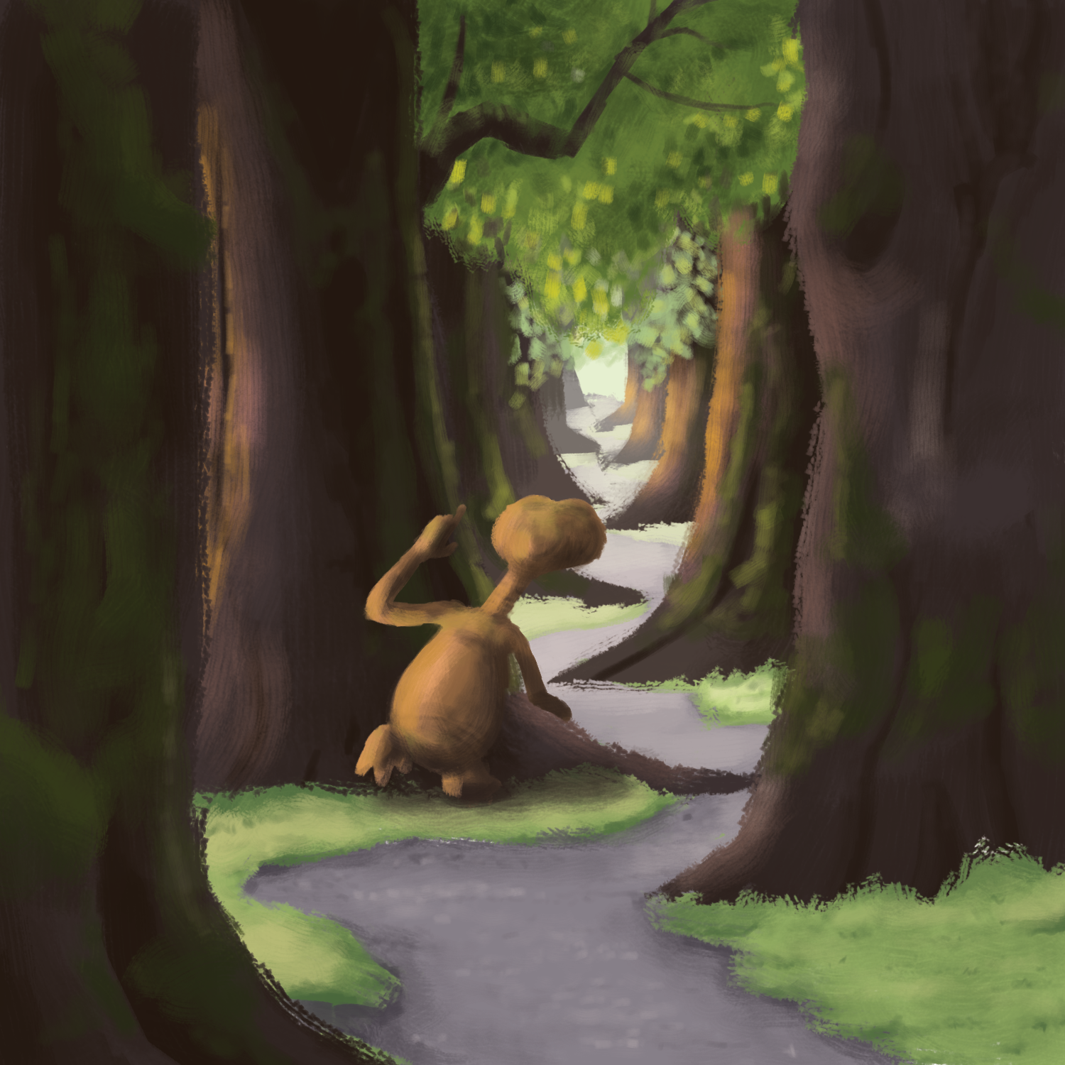 Tree Tunnel