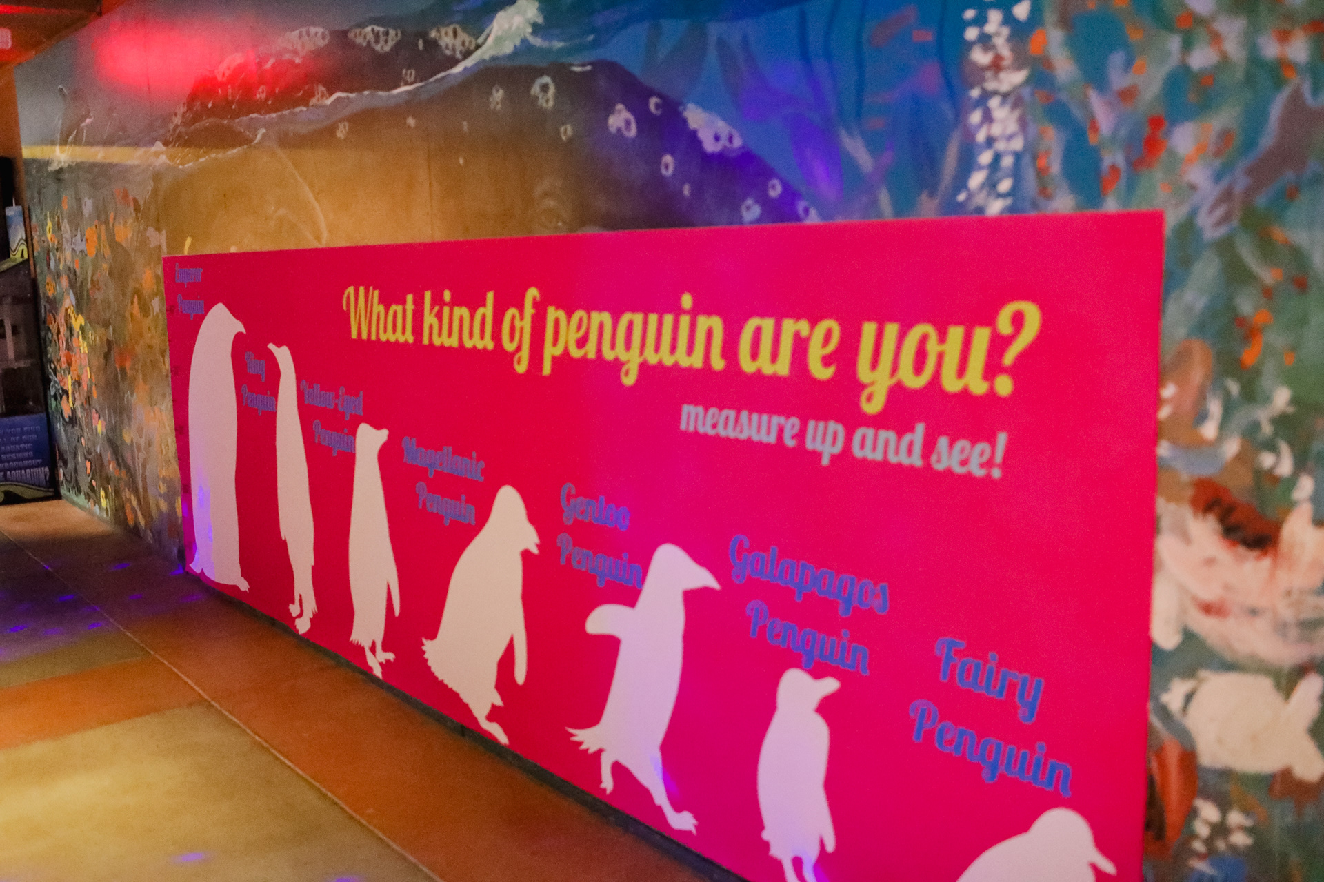 Penguins Life-size Graphic