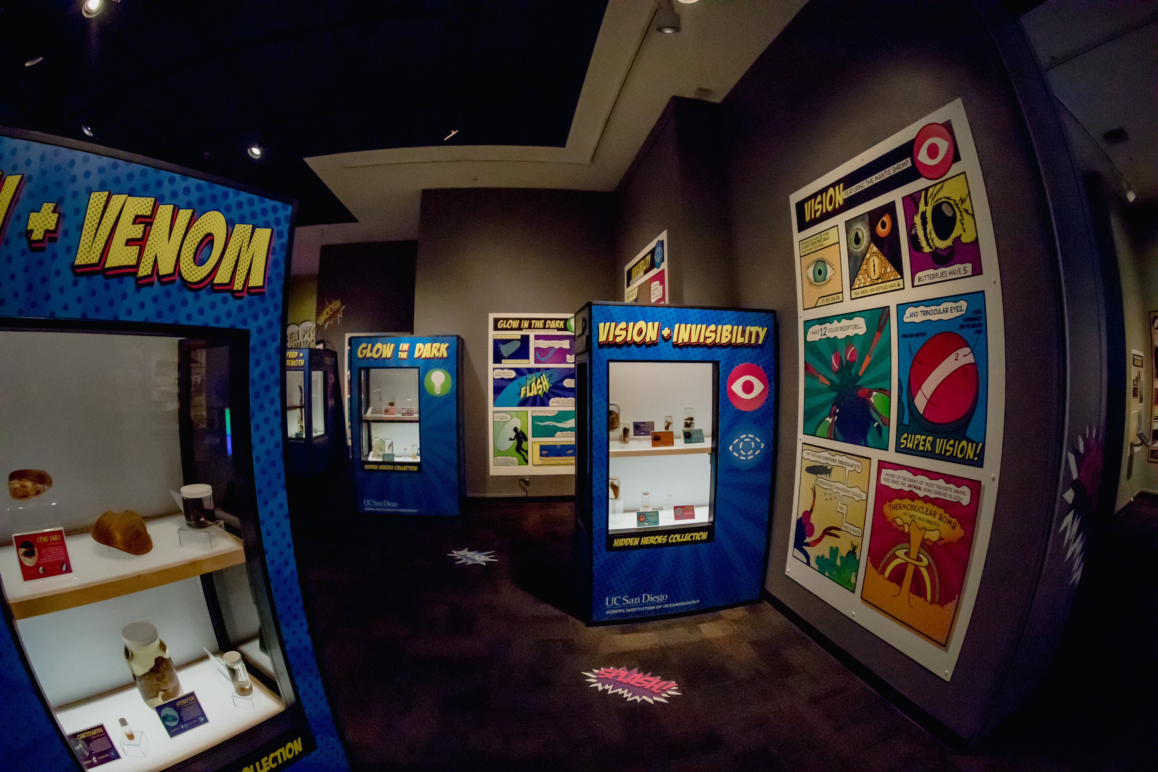 Specimen Cases and Comics