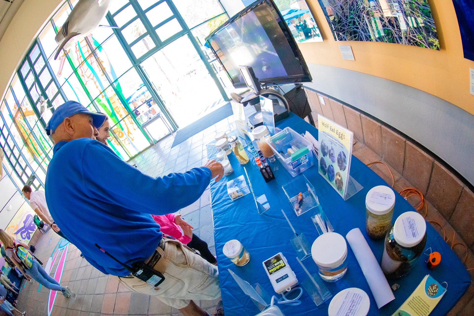 Egg Specimens and Biofacts Interactive Station