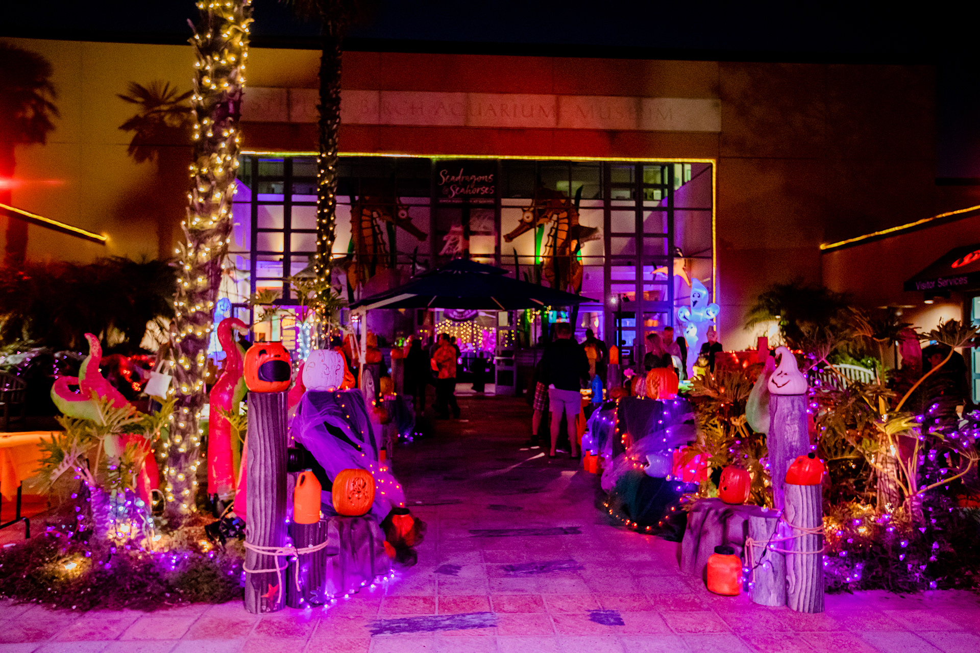 Entrance at Night