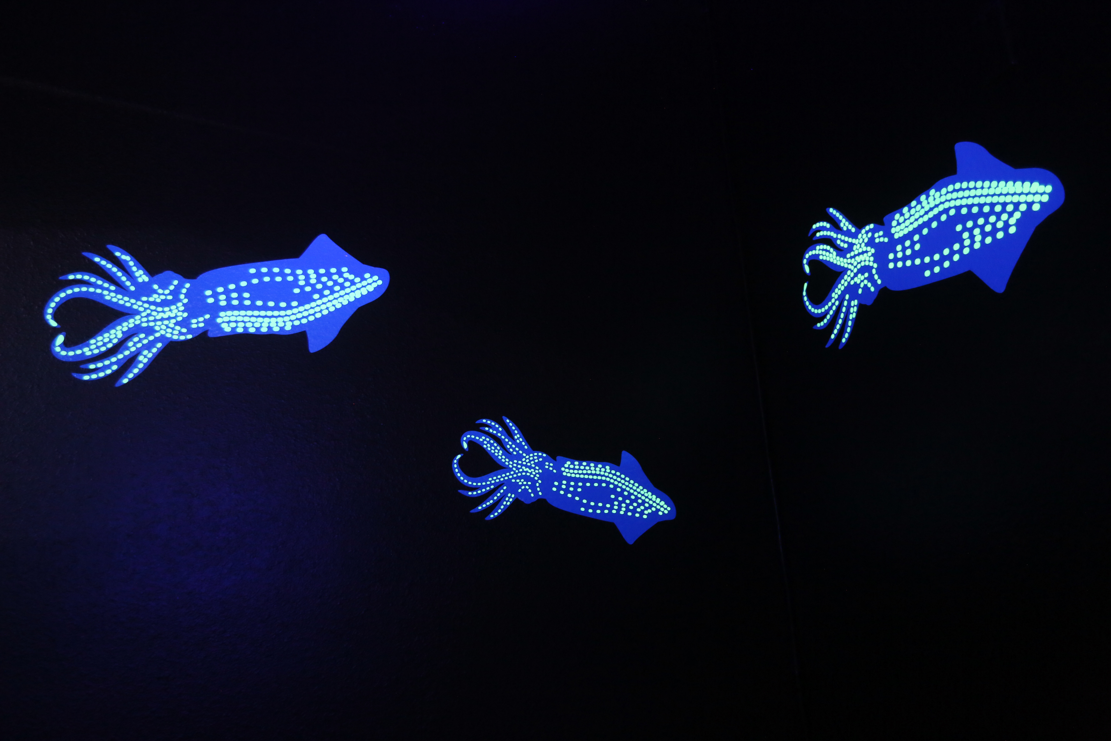 Interactive Fluorescent and Glow in the Dark vinyl graphics