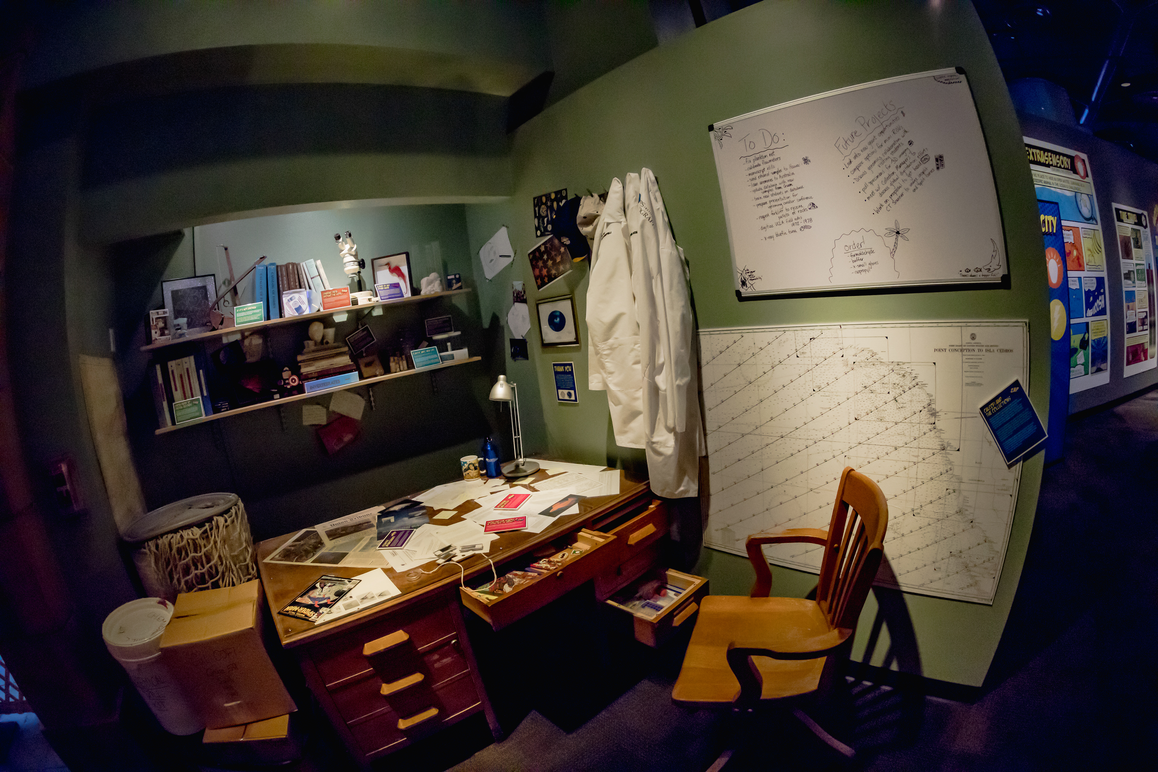 Interactive Vignette of Collection Manager Office