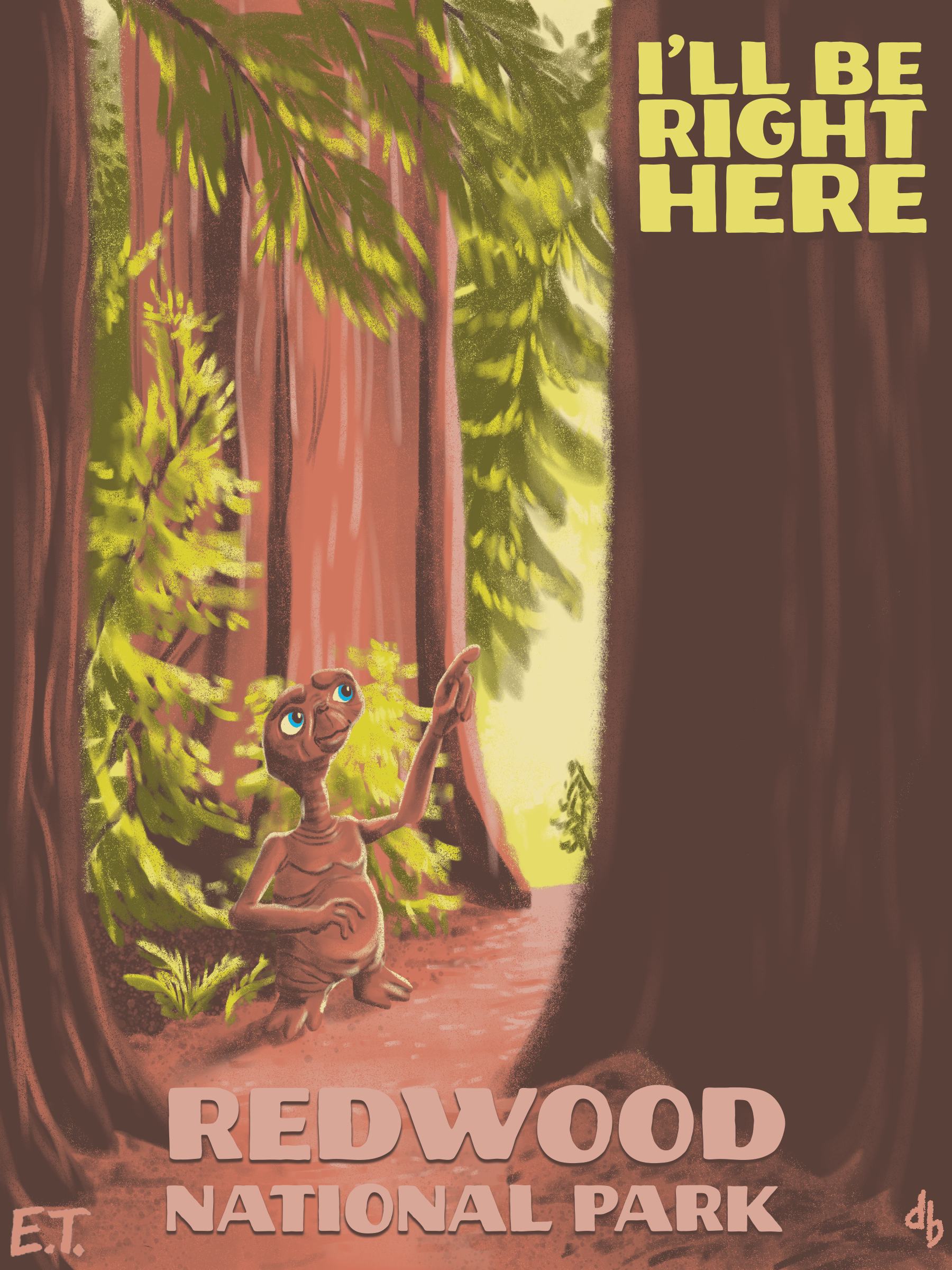 Redwood NP