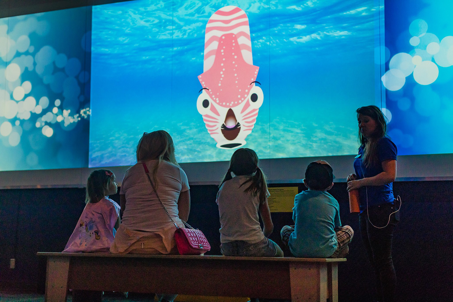Know-It-All Nautilus Digital Puppet
