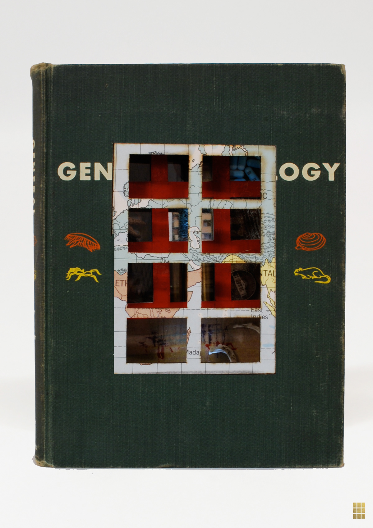General Zoology