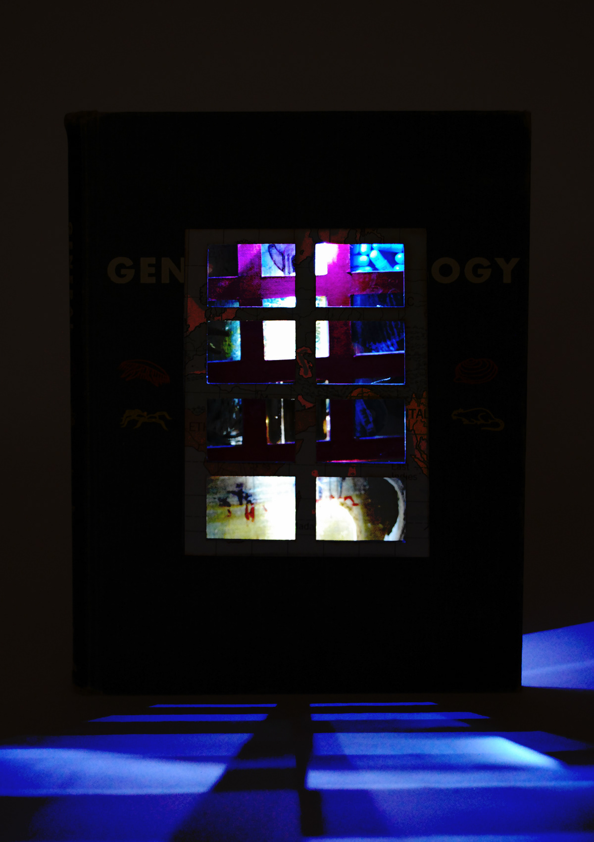 General Zoology