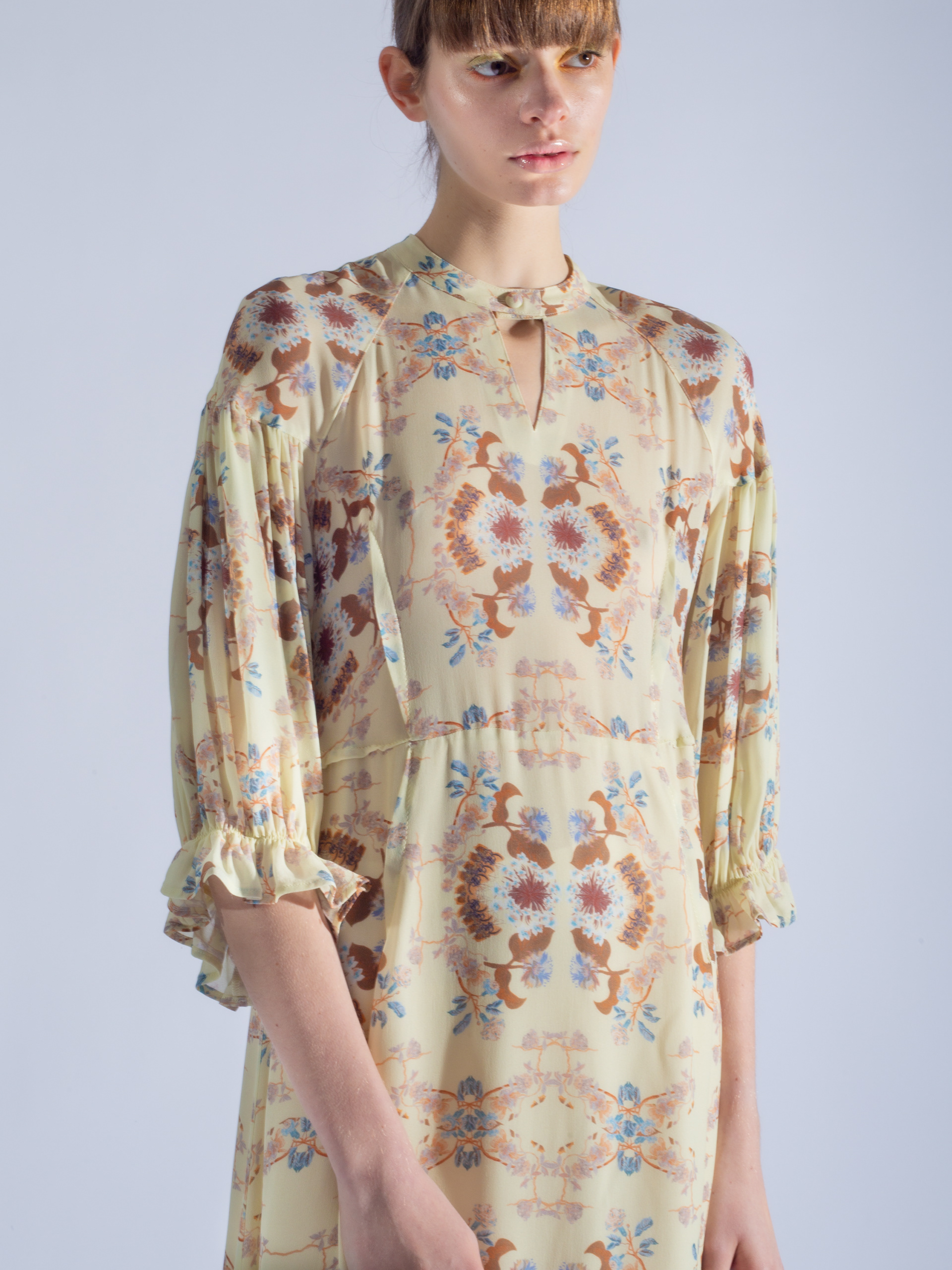 Out dart designed dress with floral chinoiserie pattern