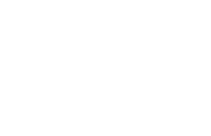Rui Henrique