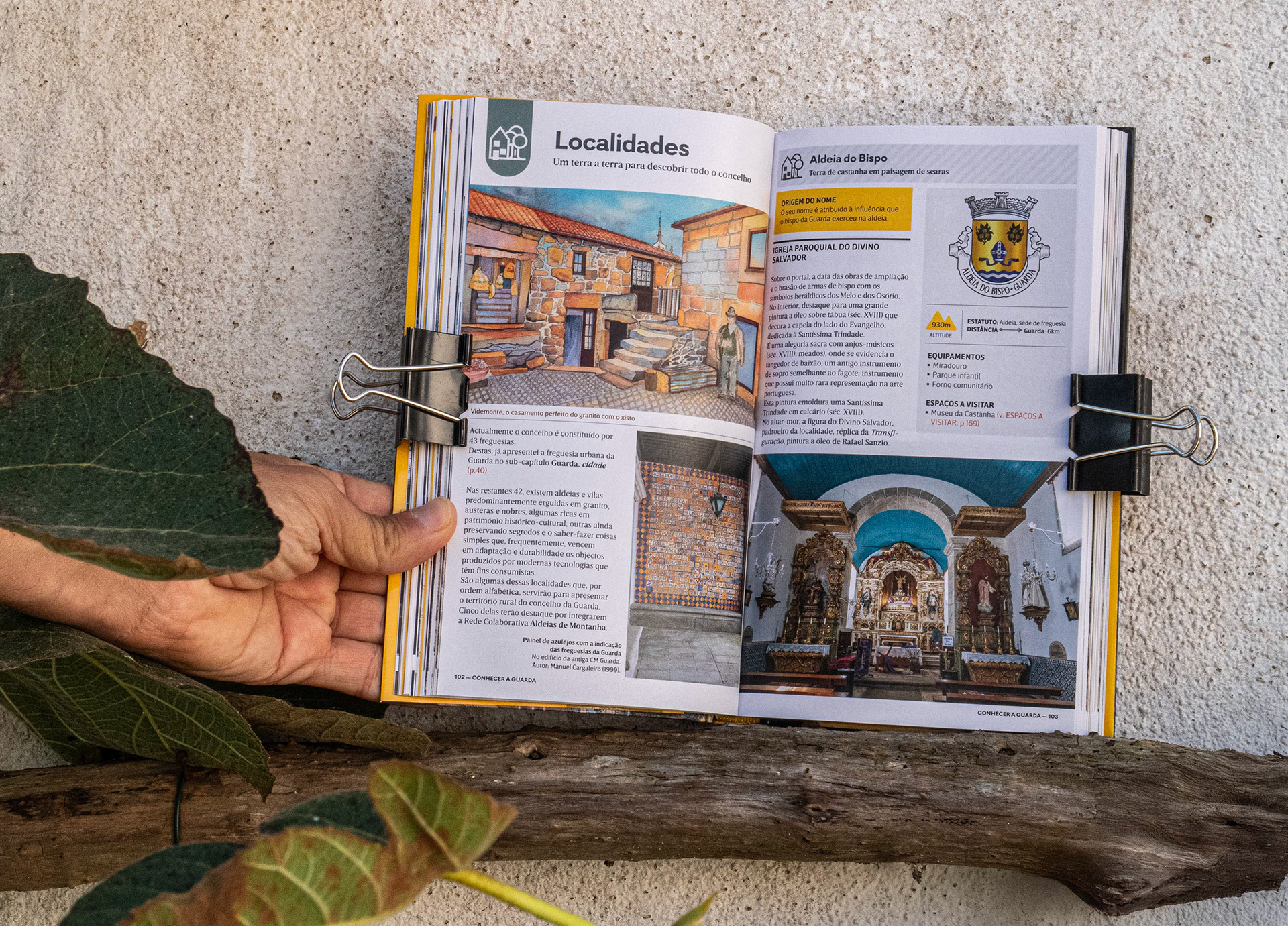 Ilustração // Illustration: Aura Vaz