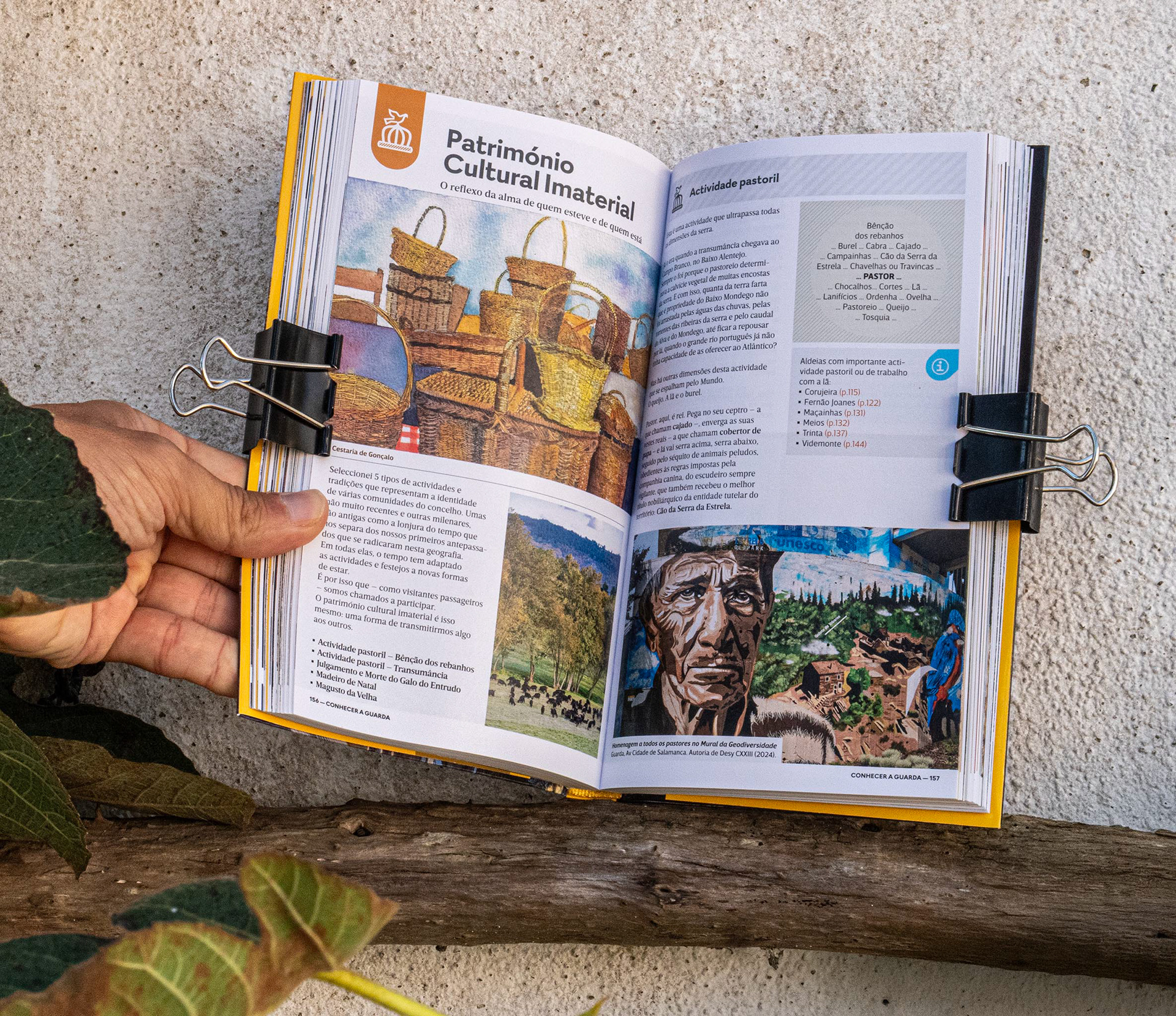 Ilustração // Illustration: Aura Vaz