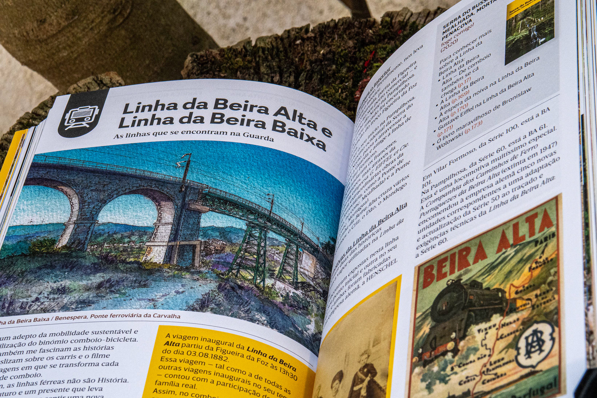 Ilustração // Illustration: Aura Vaz