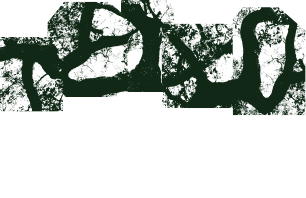 Rui Henrique