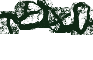 Rui Henrique