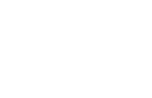 Rui Henrique