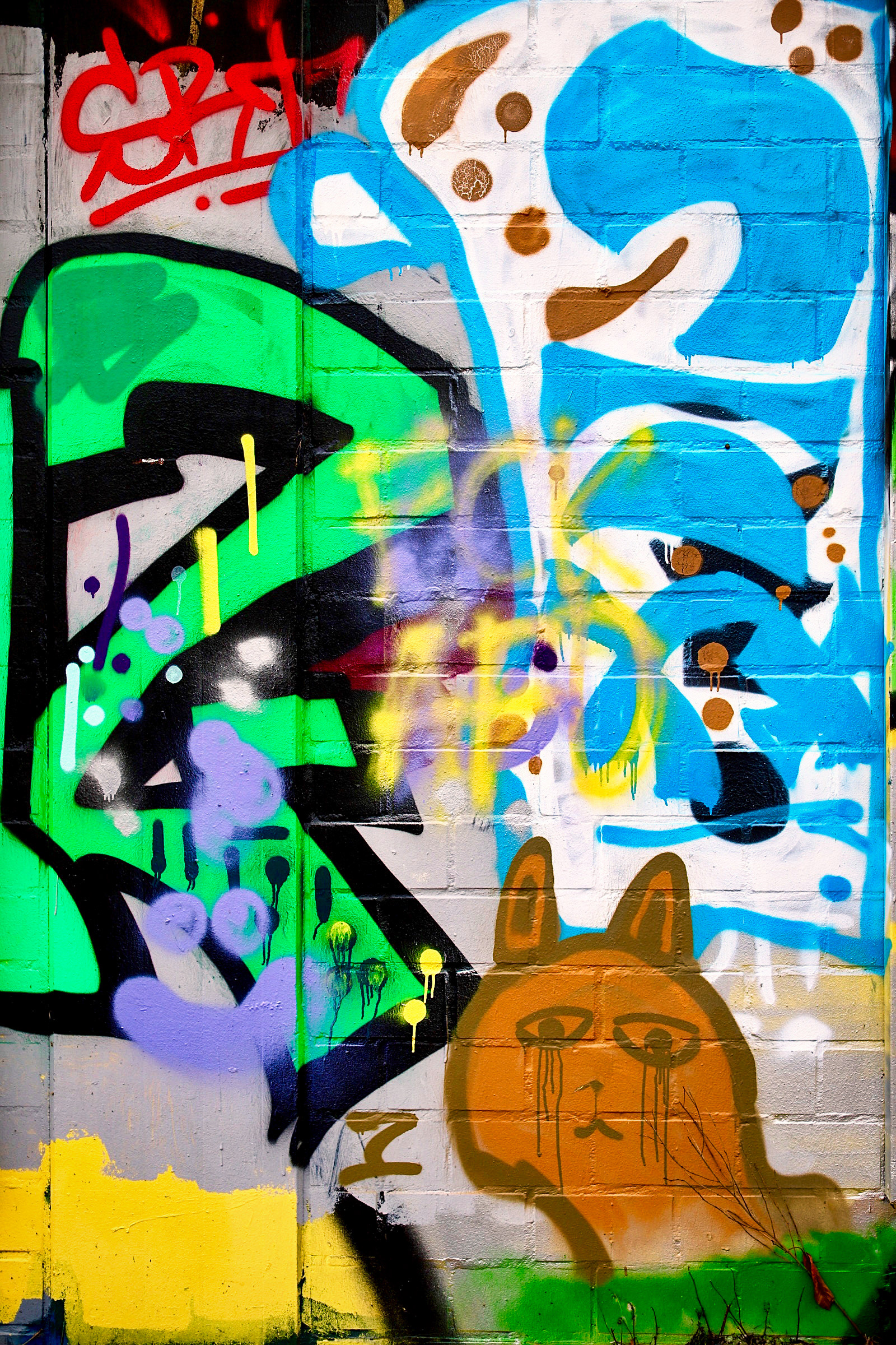 51°34'45"N 8°05'48"E III