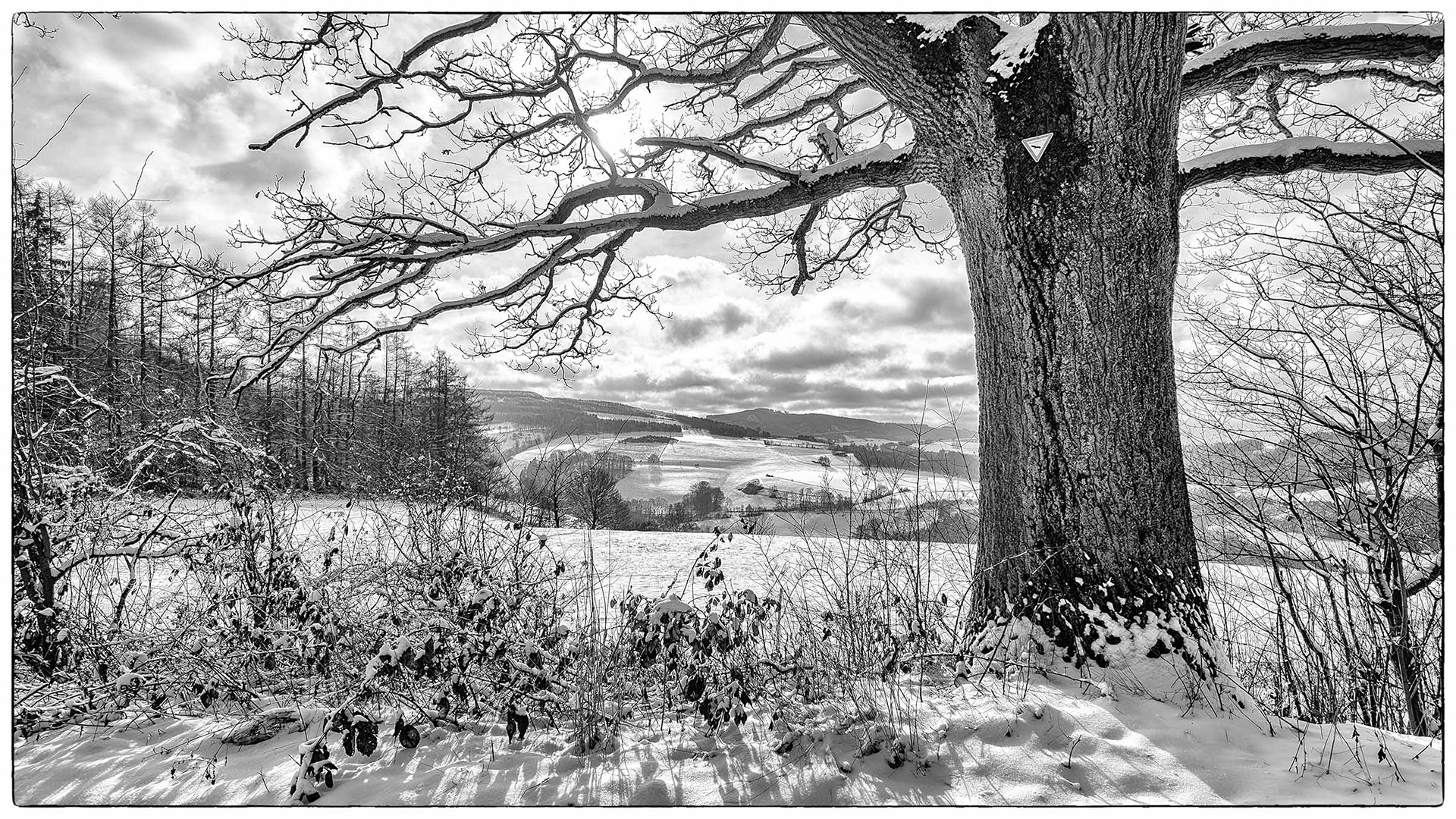 Blick vom Vogelsang nach Westen