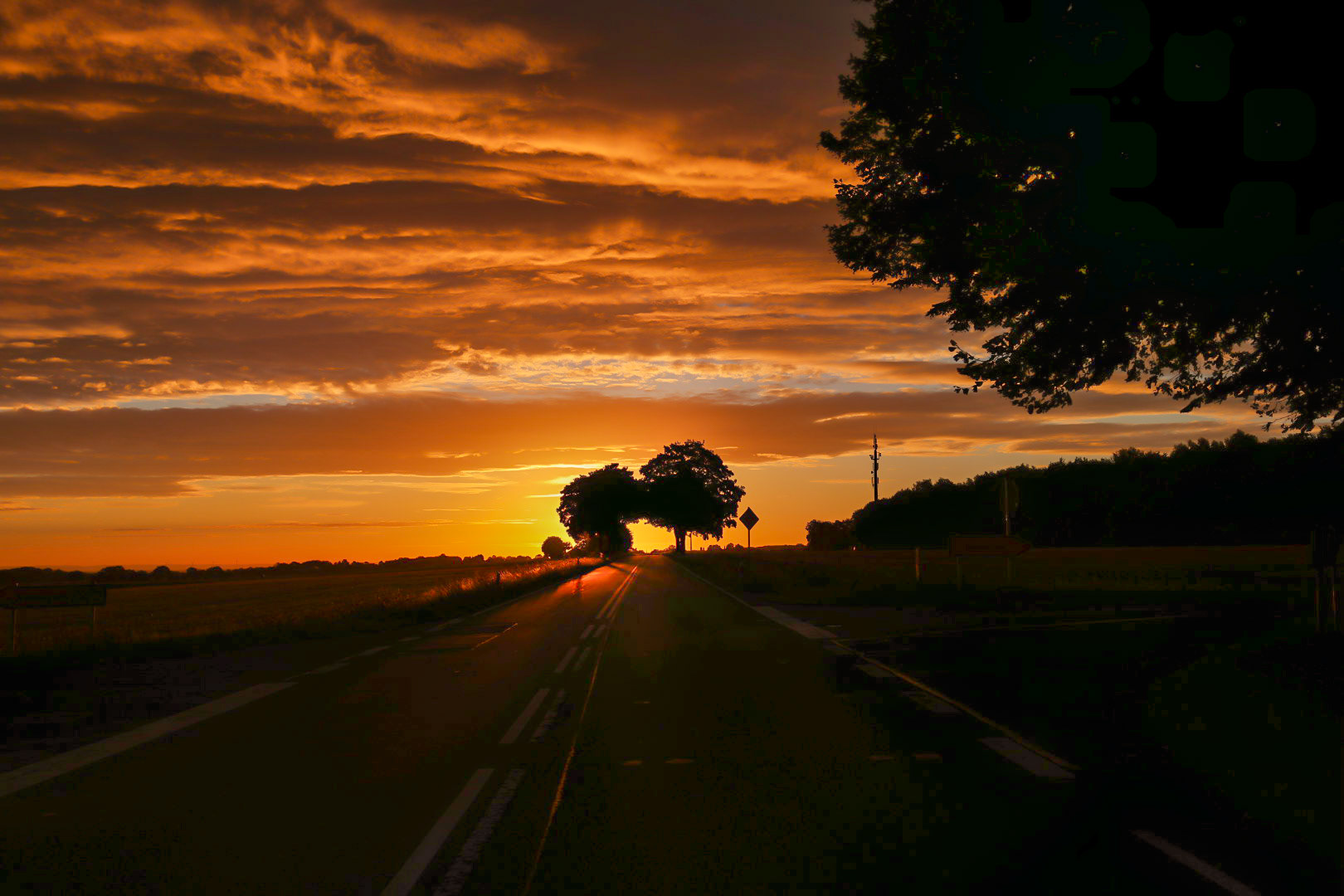 Sonnenaufgang über Haarweg bei Bittingen [Kreis Soest 2025] (Canon EOS R6m2, EF16-35mm ƒ4L IS USM, ISO 100 35 mm -1.3 ev ƒ5.6 1/640 Sek.)