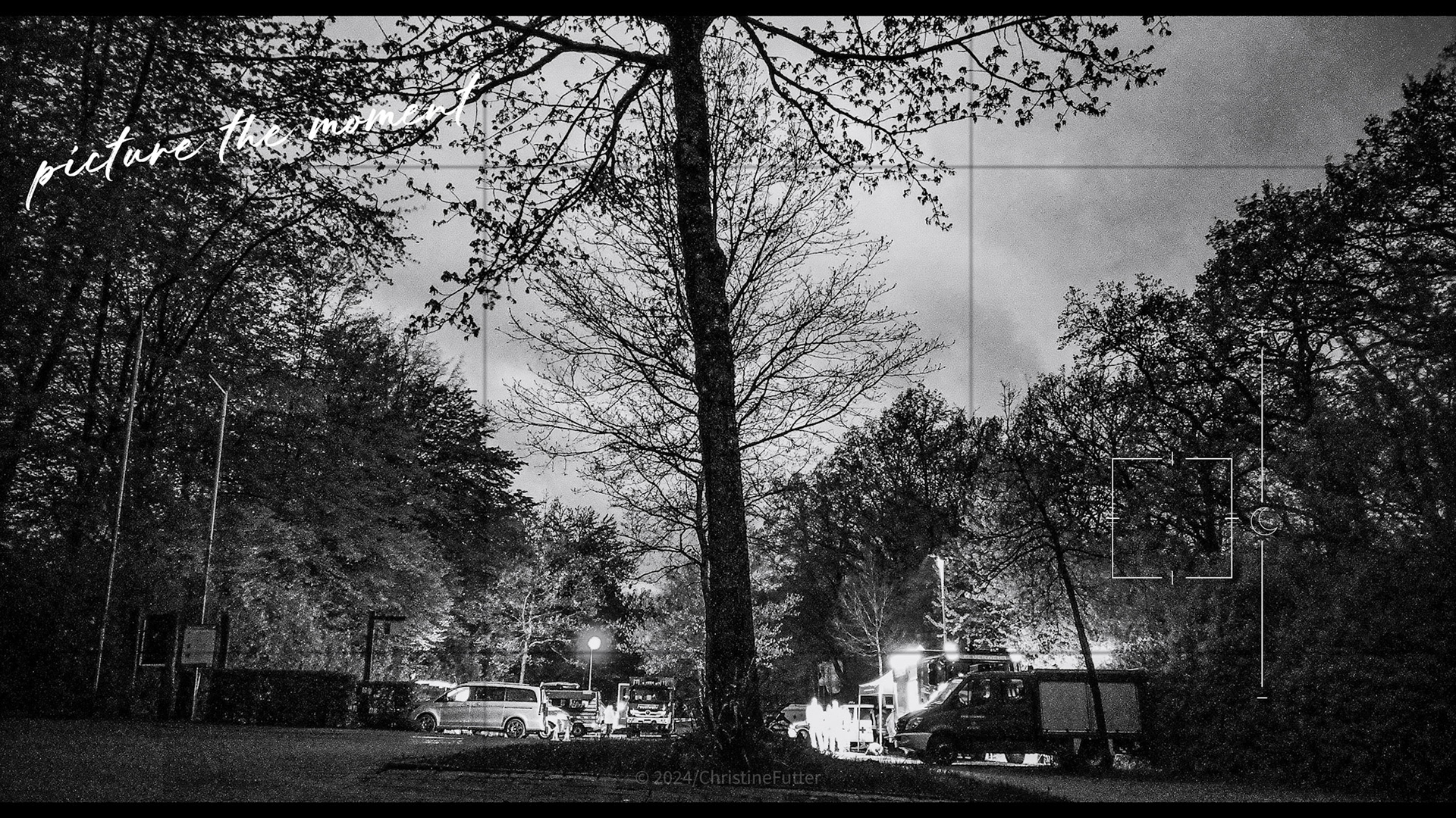 Rettungshundeeinsatz zur Personensuche am Möhnesee [DJI Osmo Poket III]