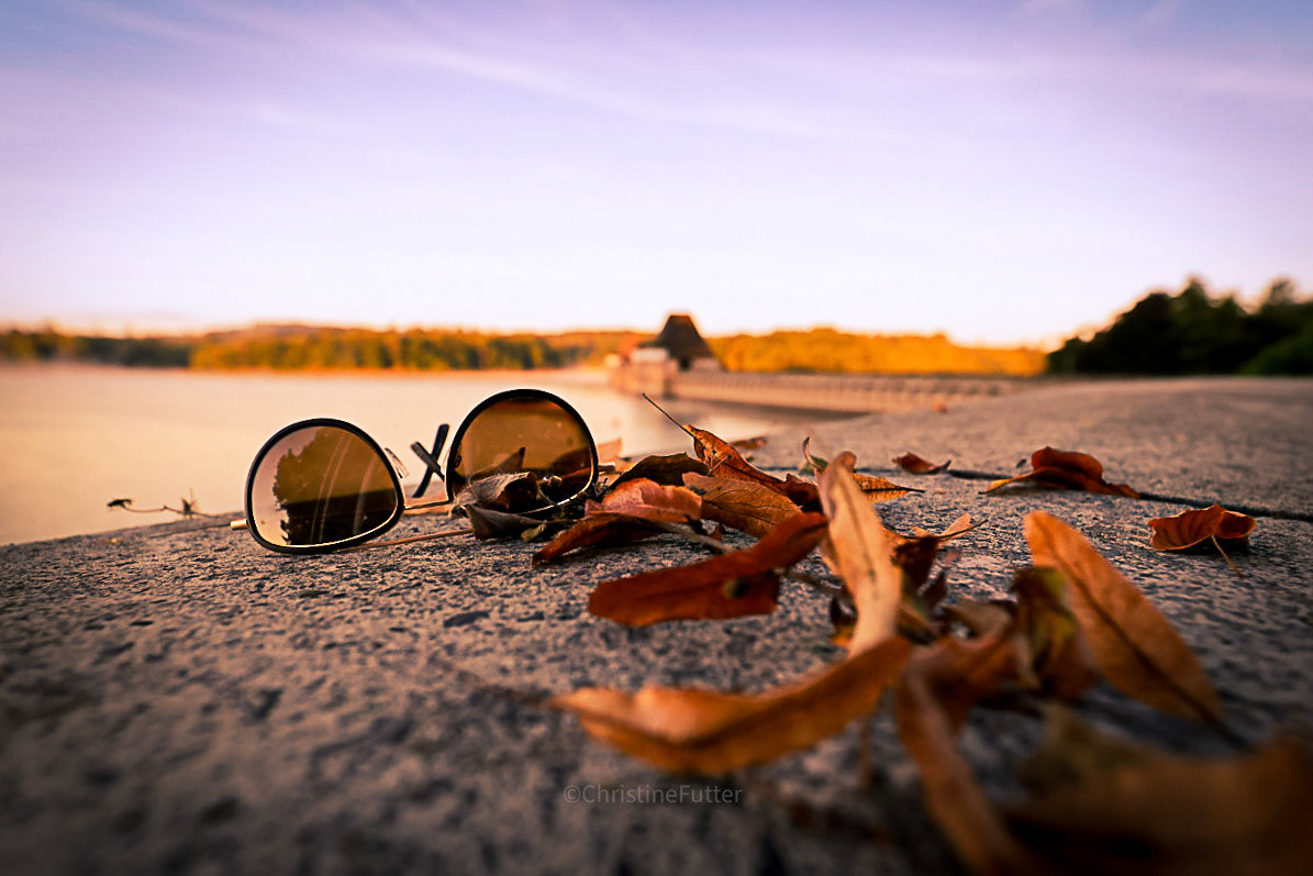 Das Laub beginnt zu fallen. Bald wandert die Sommer-Sonnenbrille für den Winter in die Kiste.  [Möhnestaumauer 2025] (Canon EOS R6m2, EF16-35mm ƒ4L IS USM, ISO 400 16 mm 0.7 ev ƒ4 1/250 Sek.)