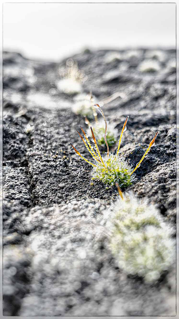Auf der Möhnestaumauer