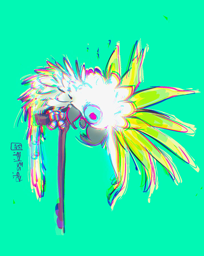 Sulphur Crested Cockatoo Sketch - Digital - 2023