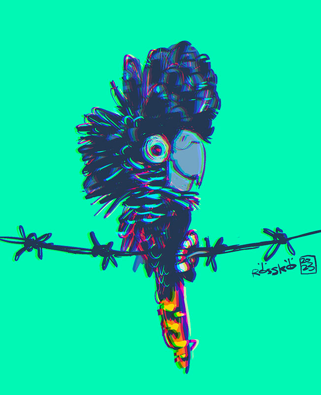 Yellow Tailed Black Cockatoo sketch - Digital - 2023