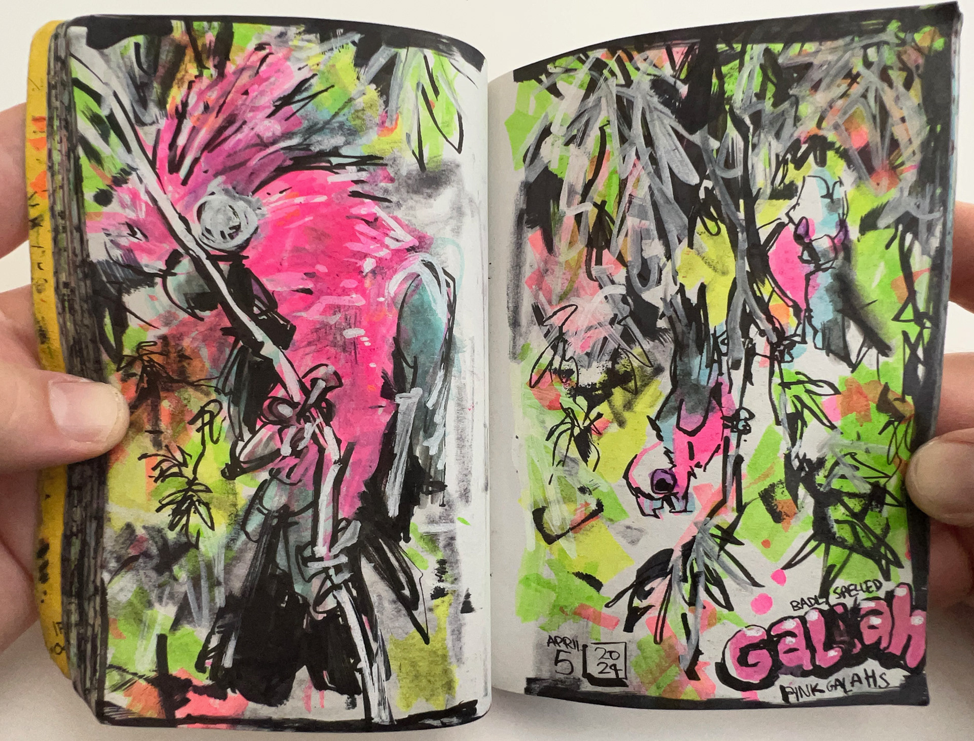 Pink Galahs - Black Ink and Highlighters- Sketchbook 2024