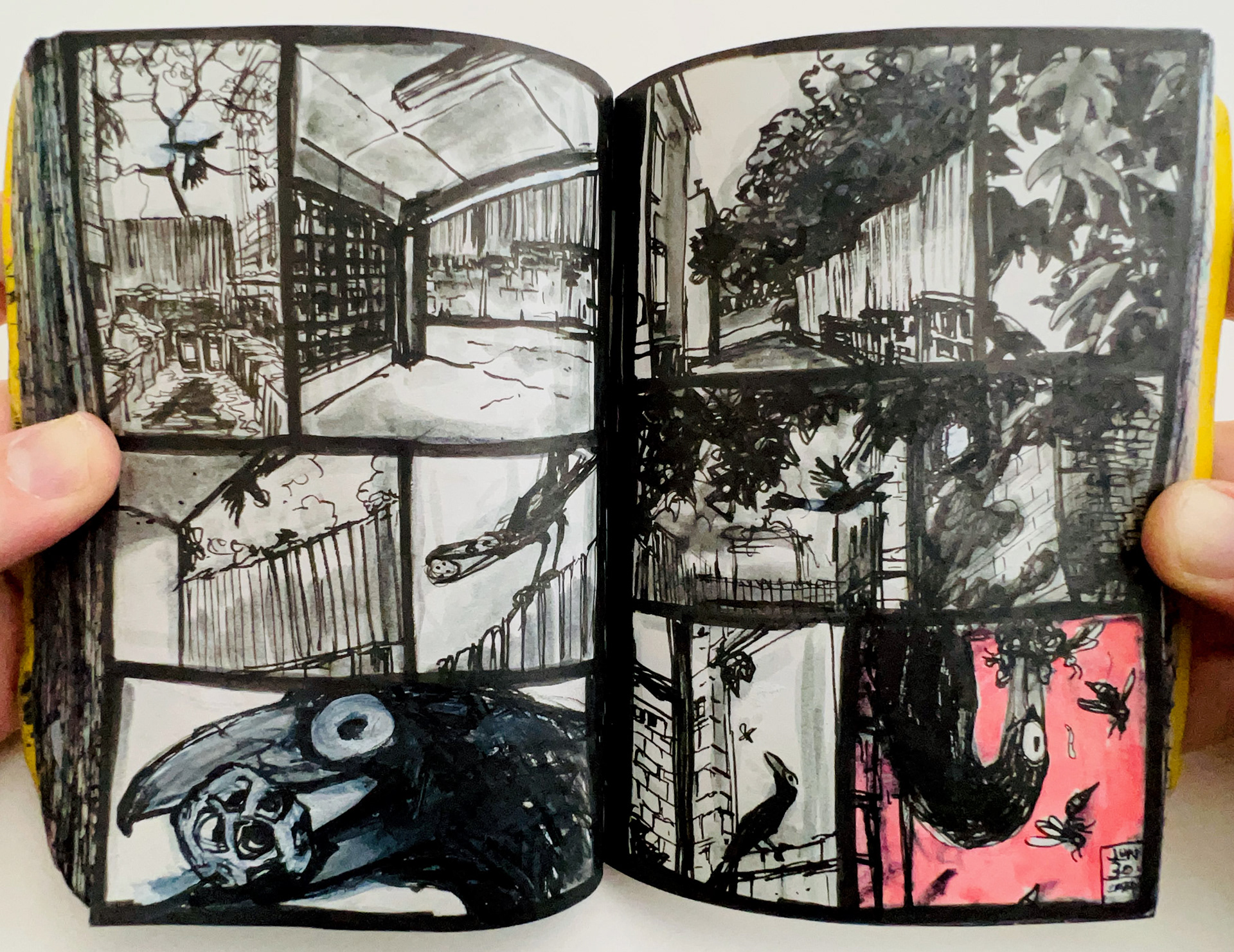An encounter with a Currawong hunting wasps - Black Ink and Highlighter - Sketchbook 2024