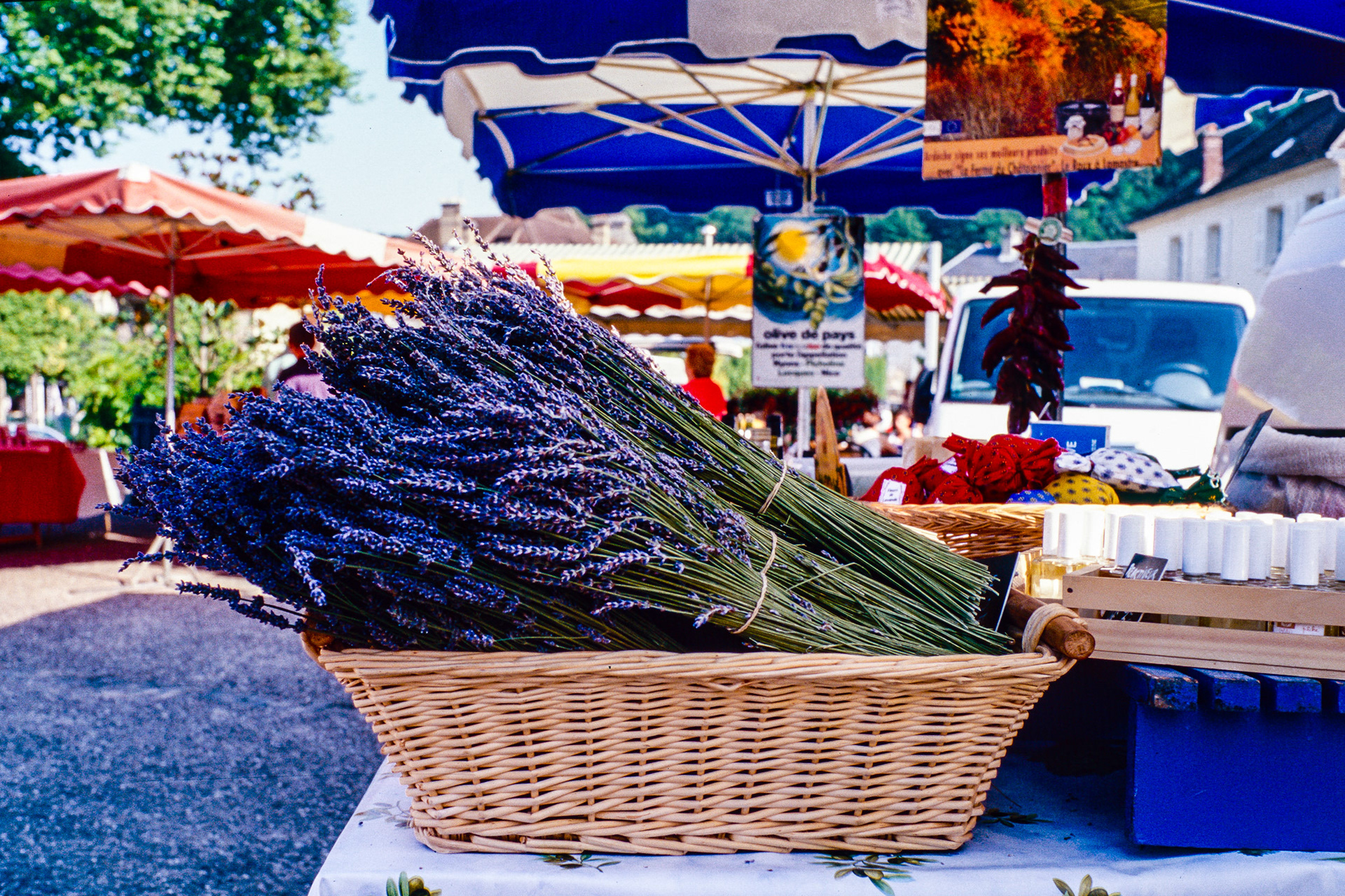 Lavender, Compiegne Market
