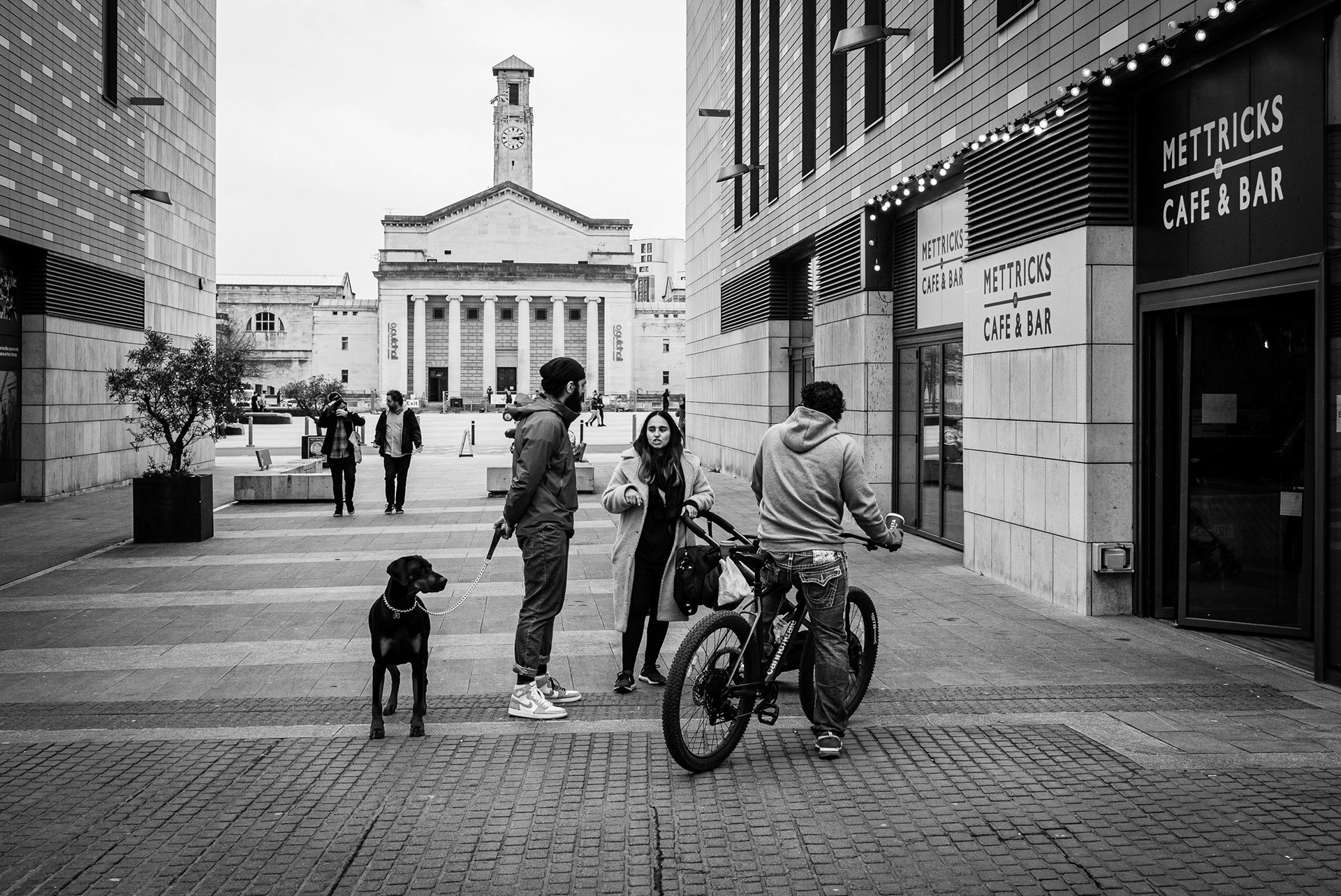 Talking point with dog, Southampton, UK