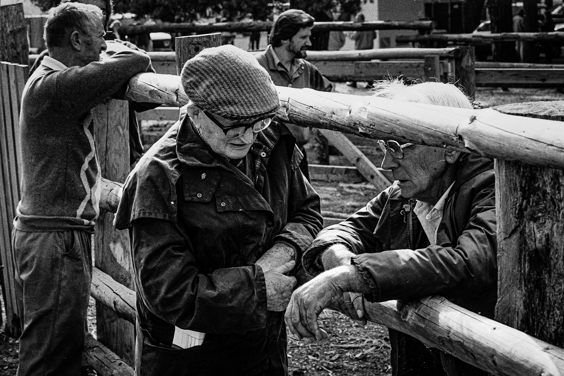 Farm Friends, New Forest National Park, UK