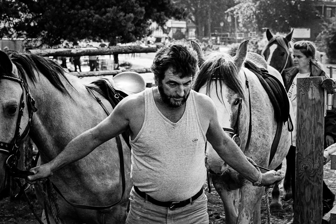The Horse Handler, New Forest National Park, UK