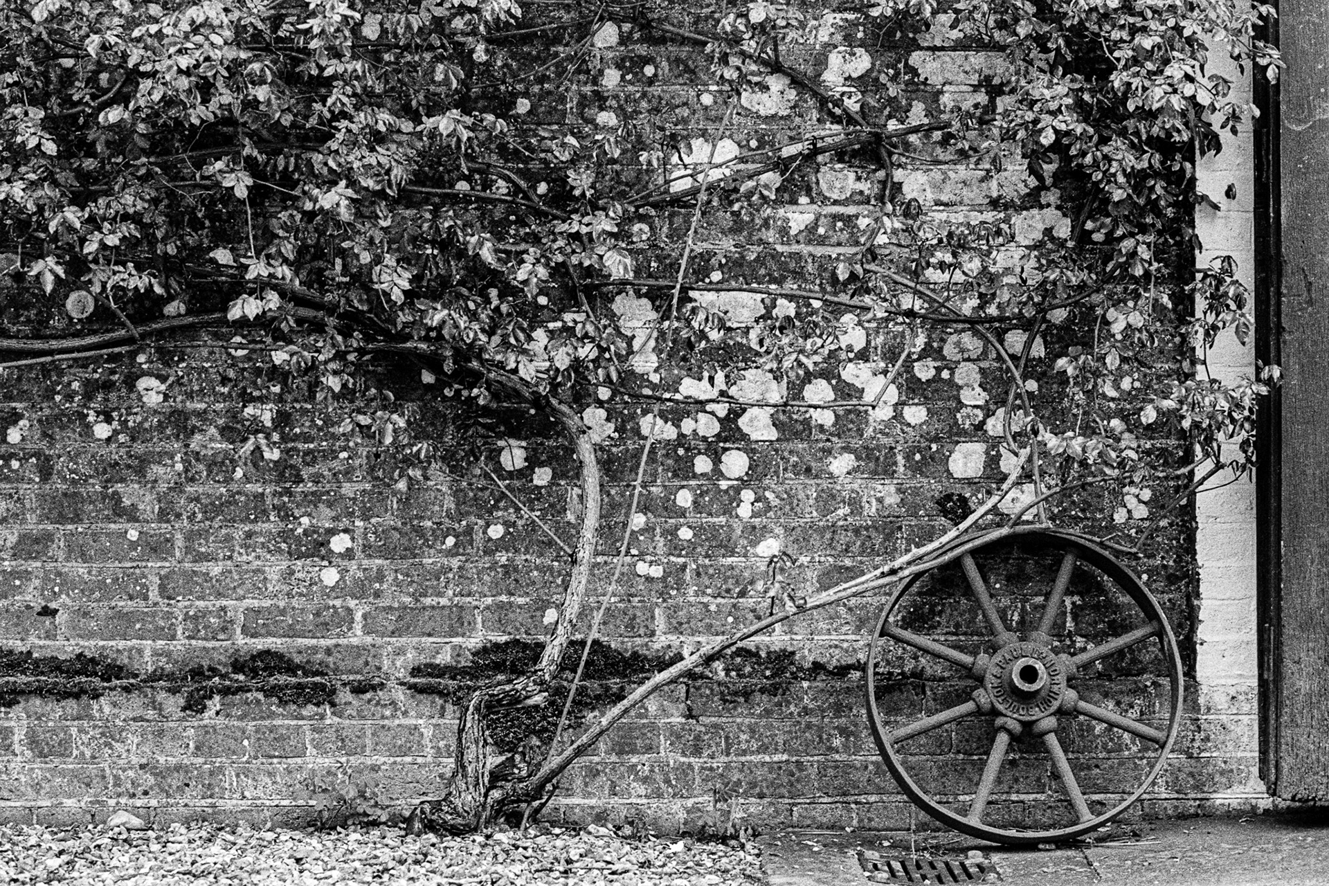 Motif with Wheel